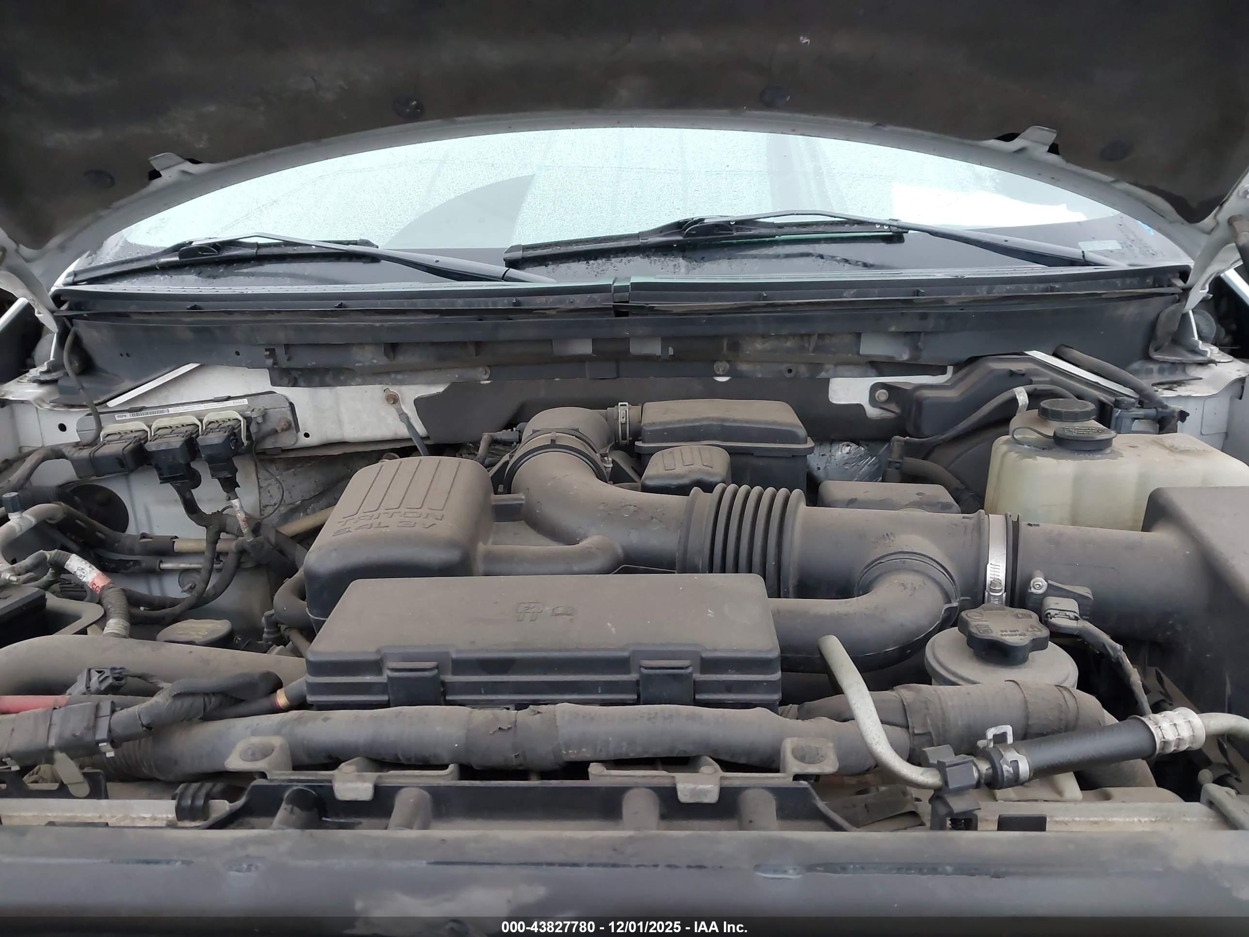 FORD F-150 image 10