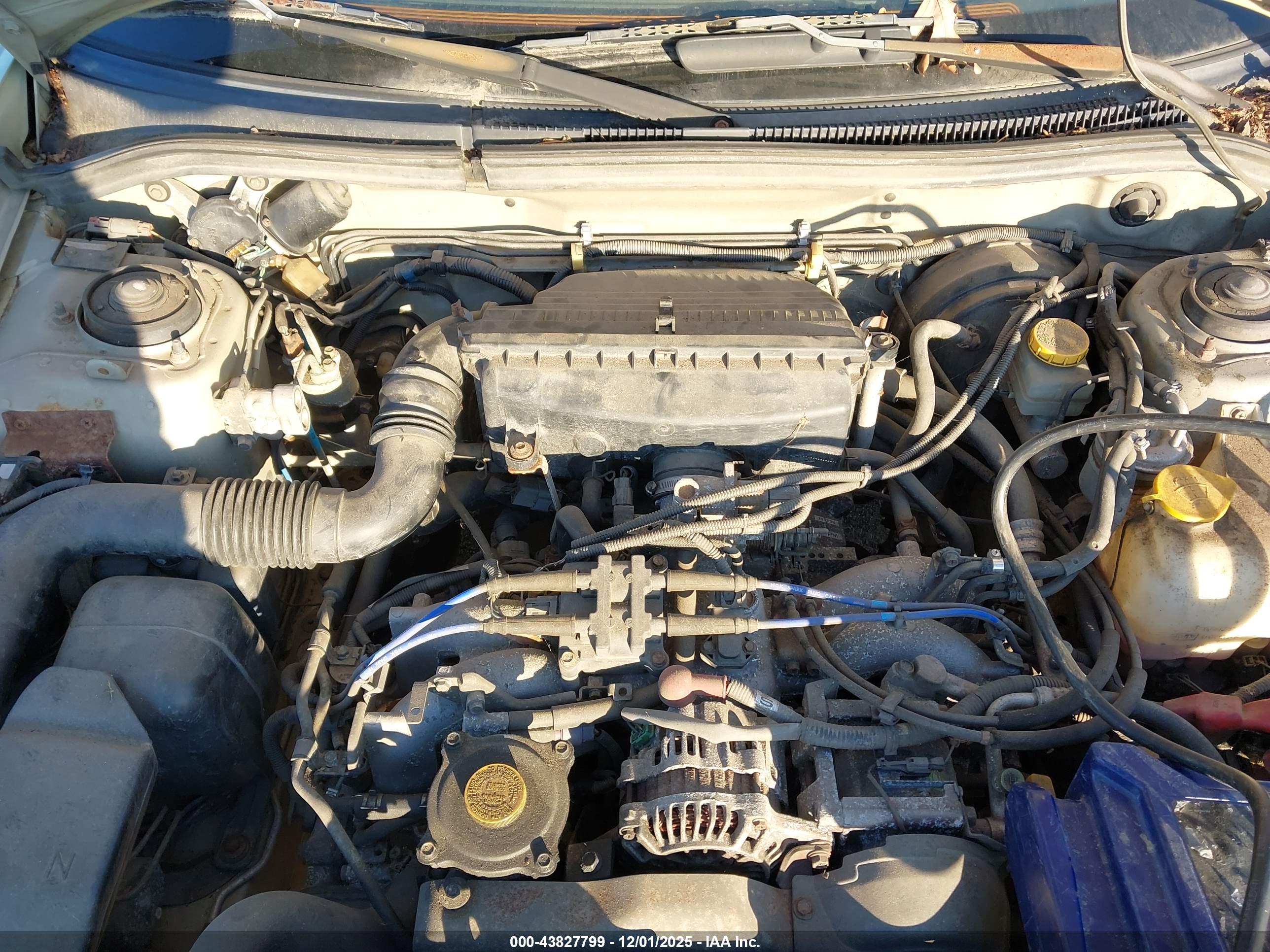 SUBARU FORESTER image 10