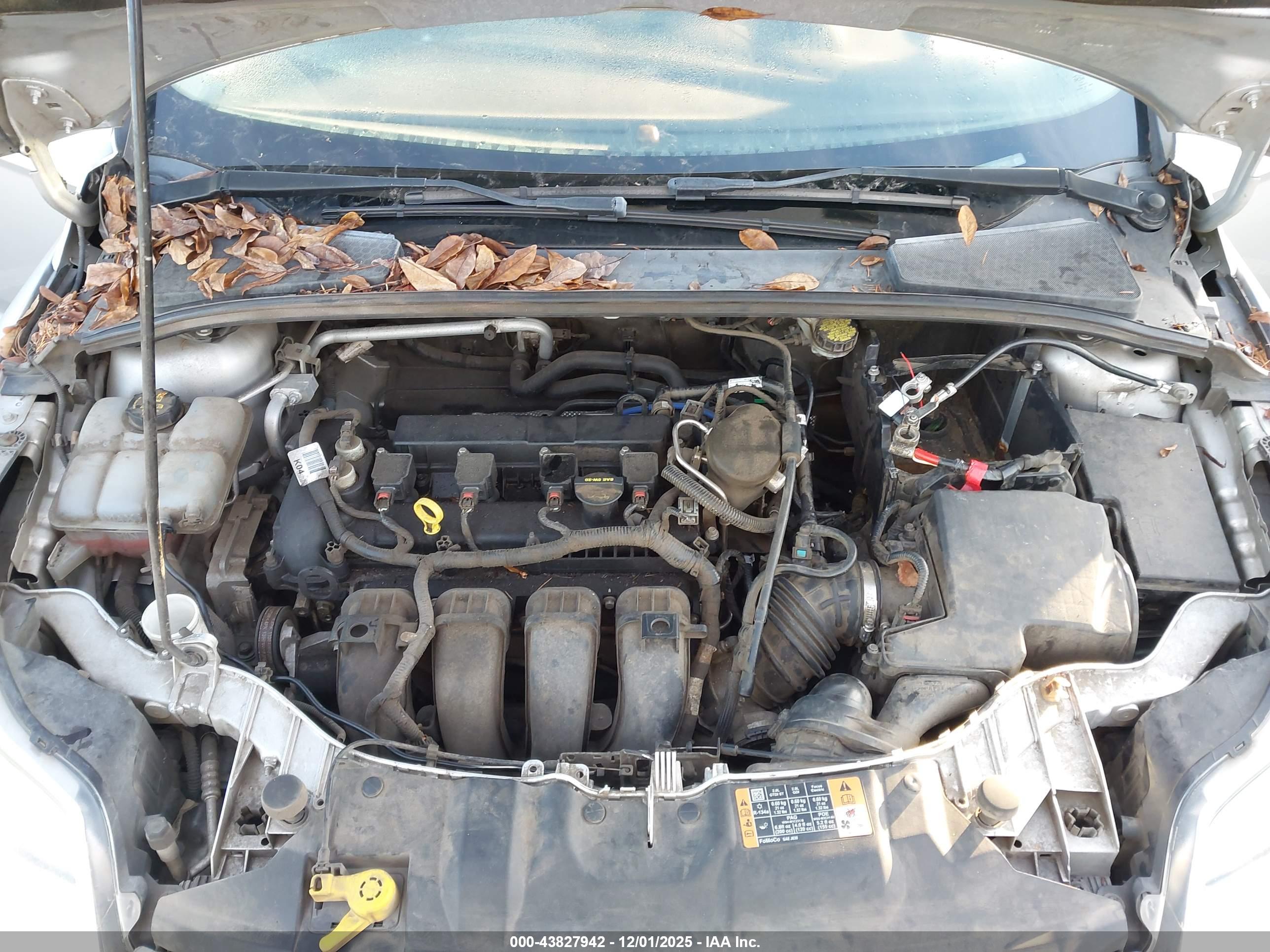 FORD FOCUS image 10
