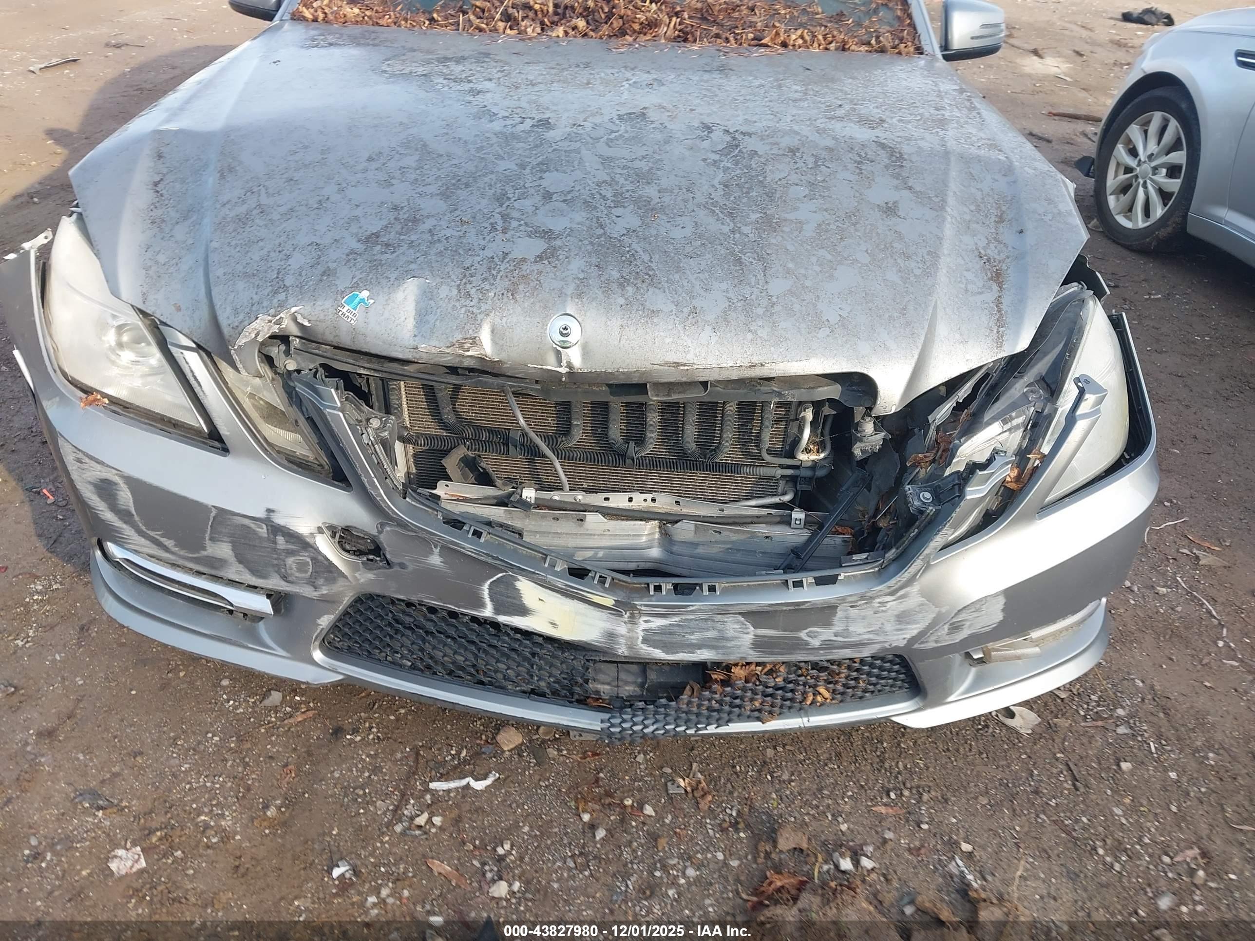 MERCEDES-BENZ E image 6
