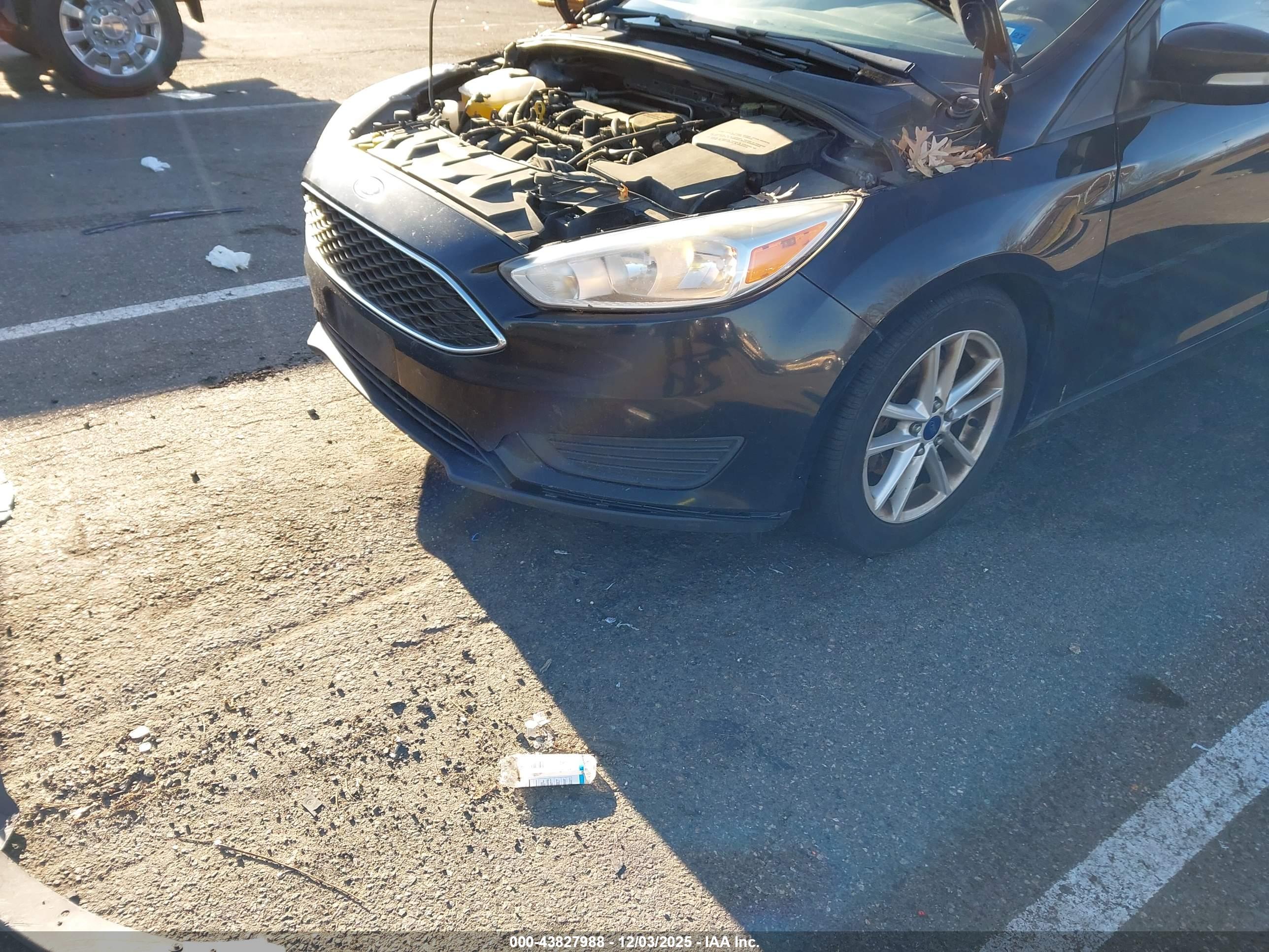 FORD FOCUS image 6