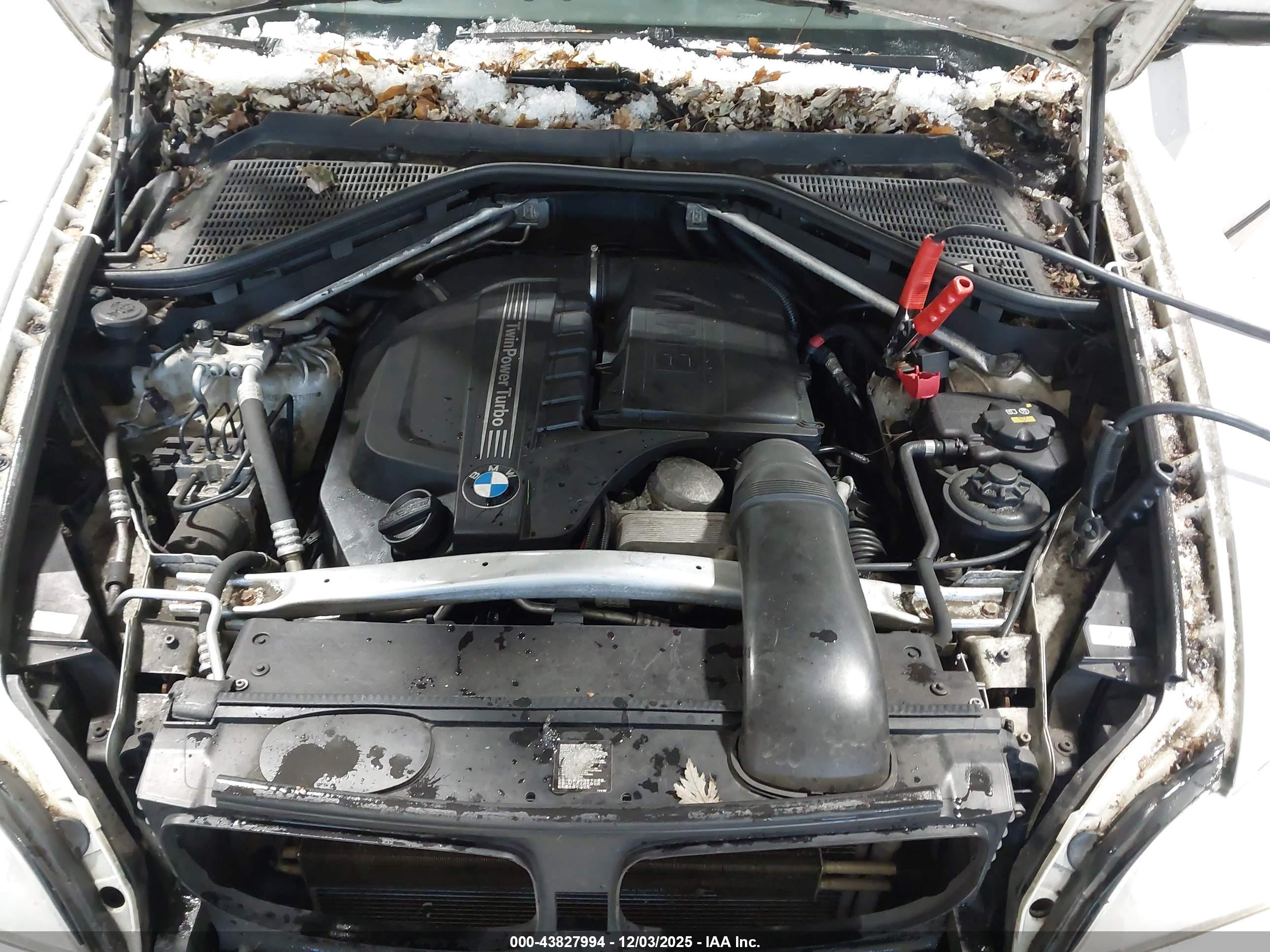 BMW X5 image 10
