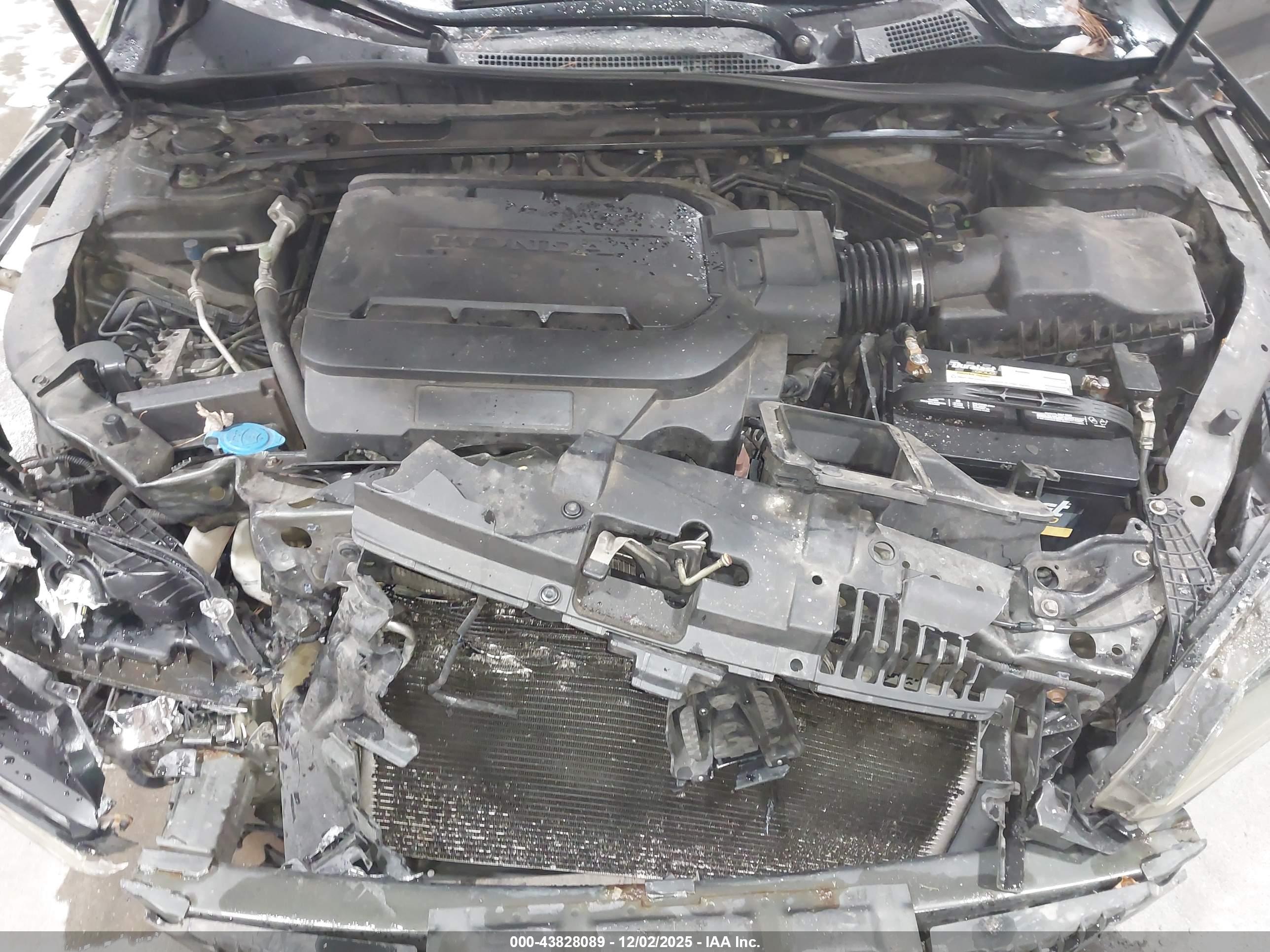 HONDA ACCORD image 10