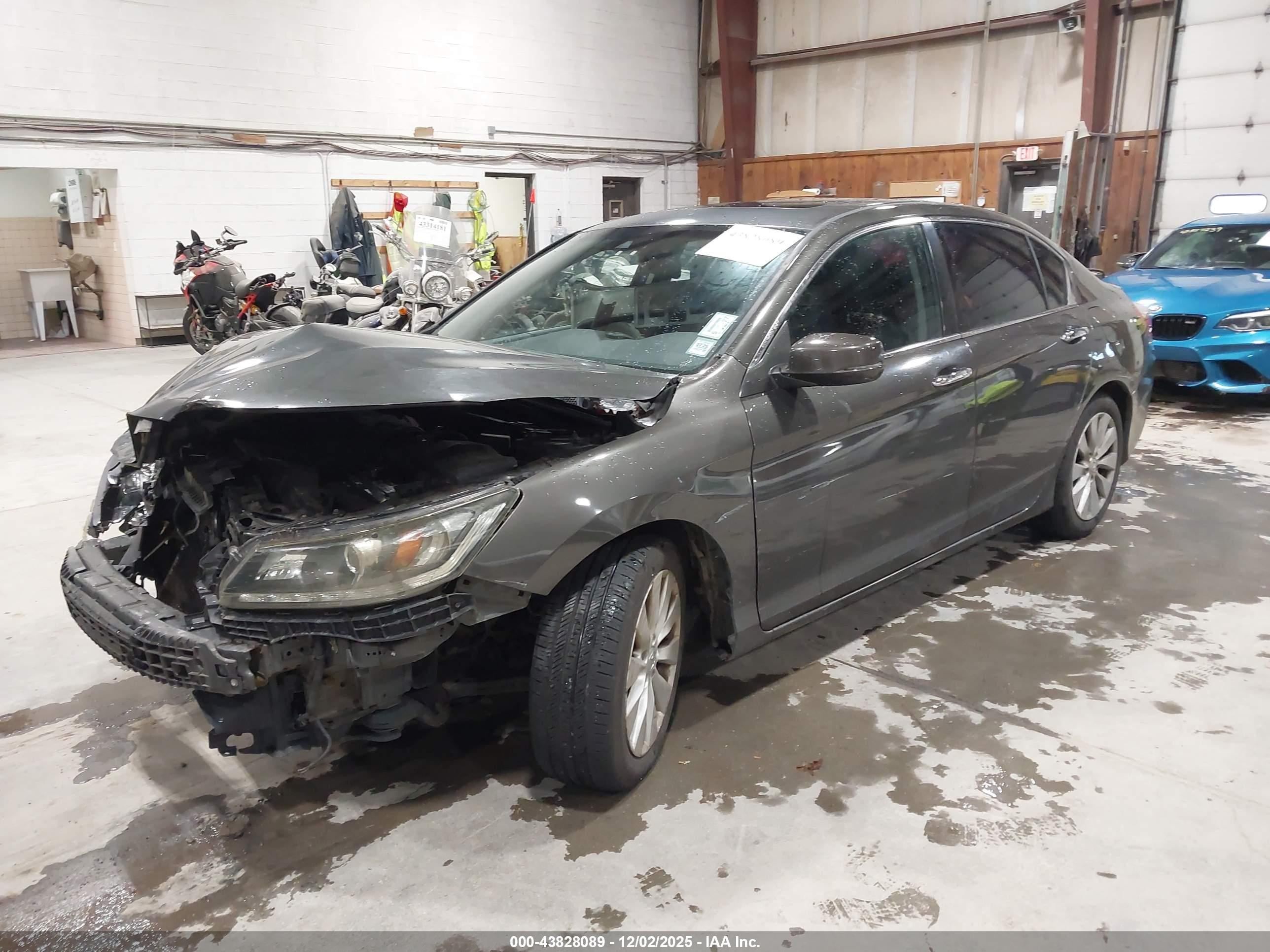 HONDA ACCORD image 2