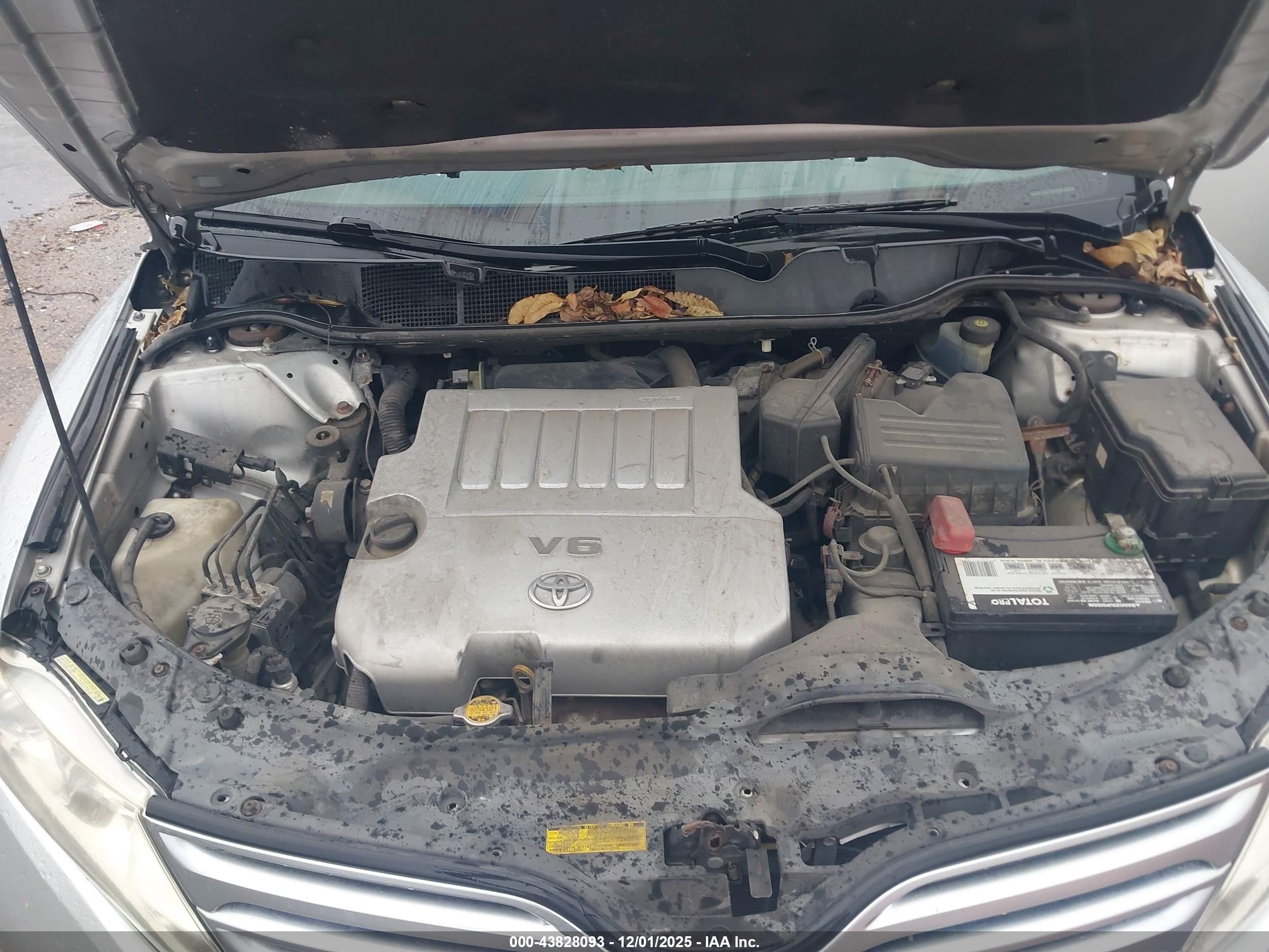 TOYOTA VENZA image 10