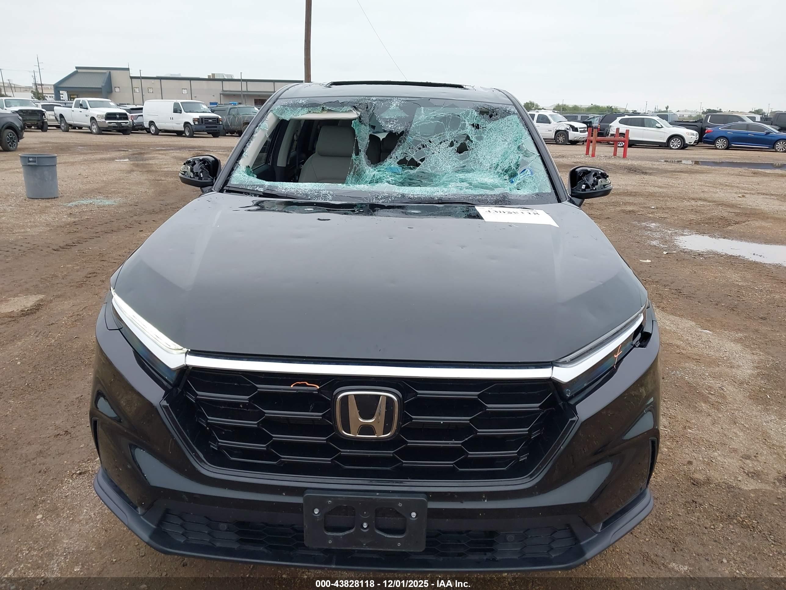 HONDA CR-V image 6