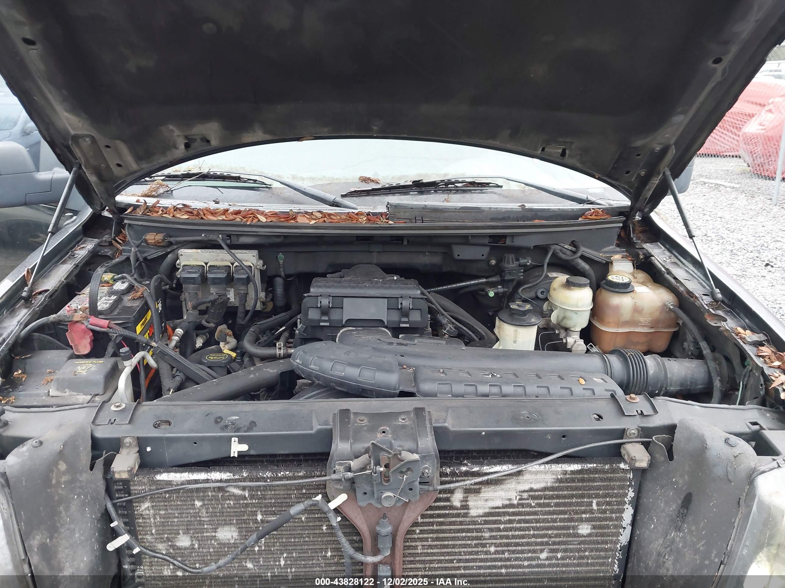 FORD F-150 image 10