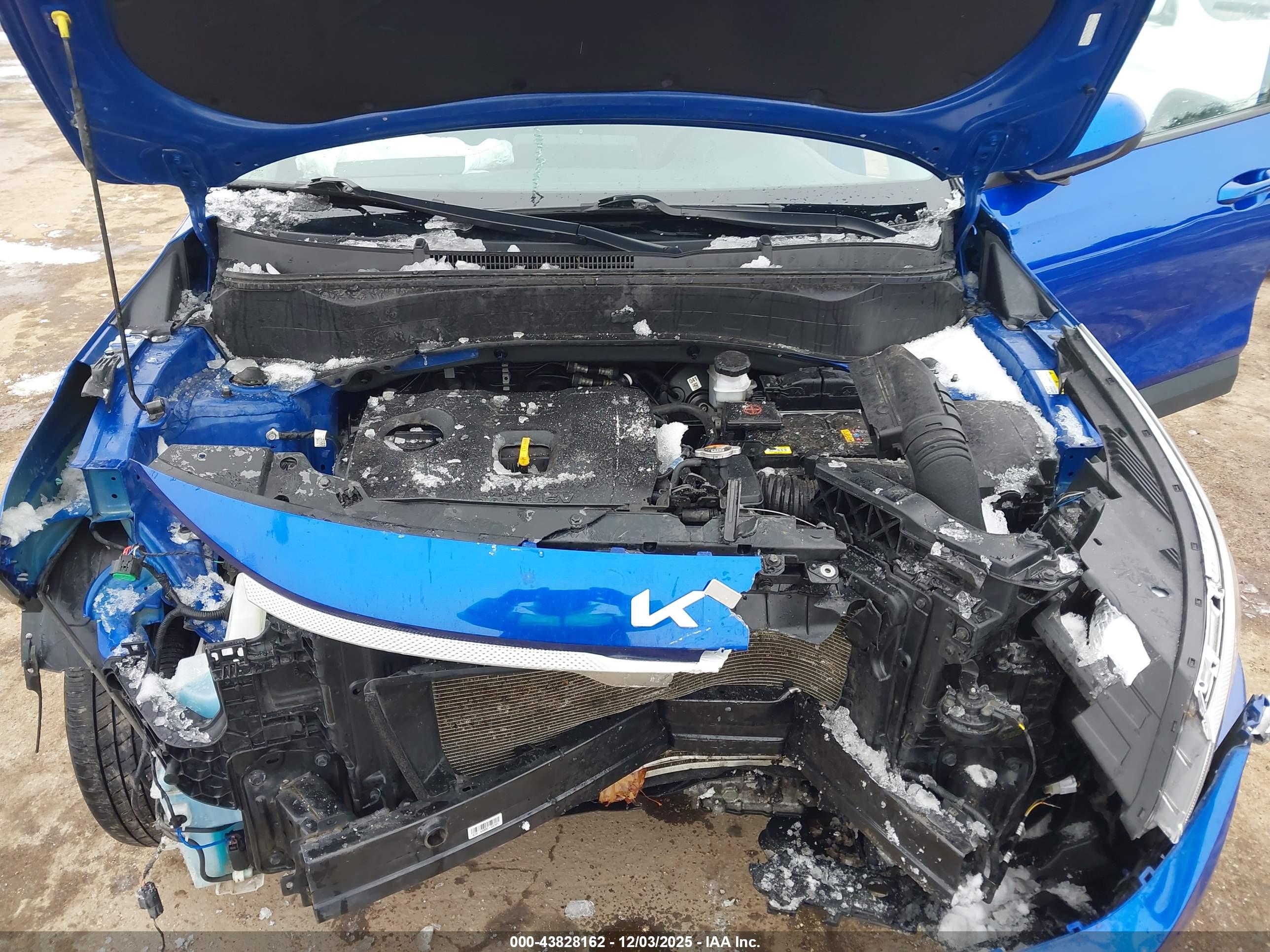 KIA SELTOS image 10