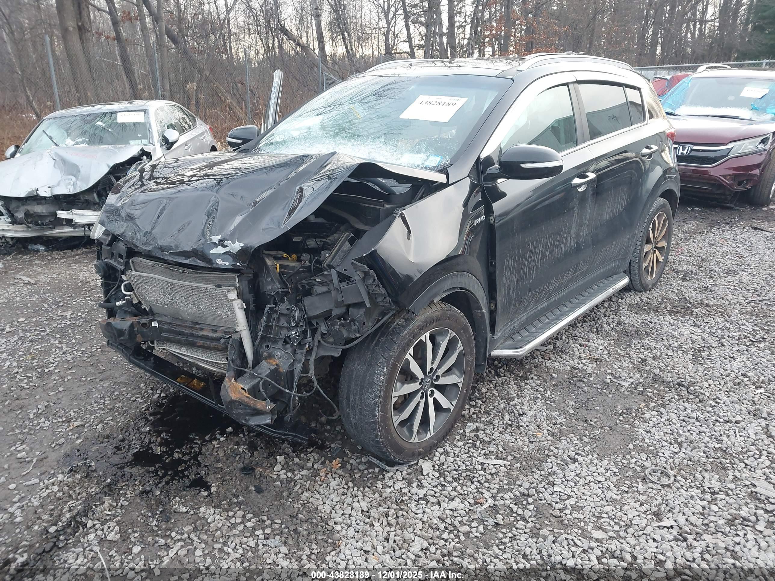 KIA SPORTAGE image 2