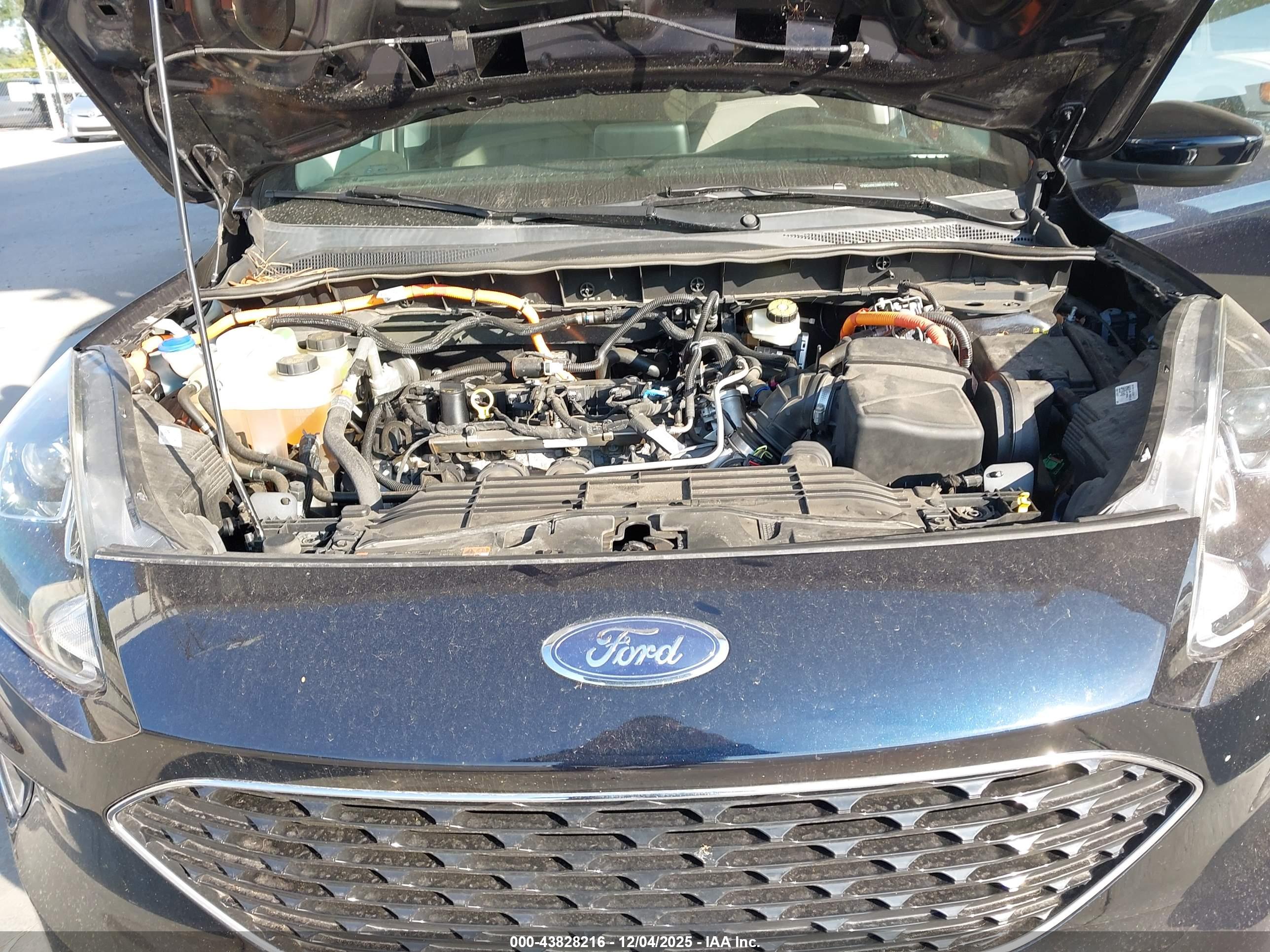 FORD ESCAPE image 10