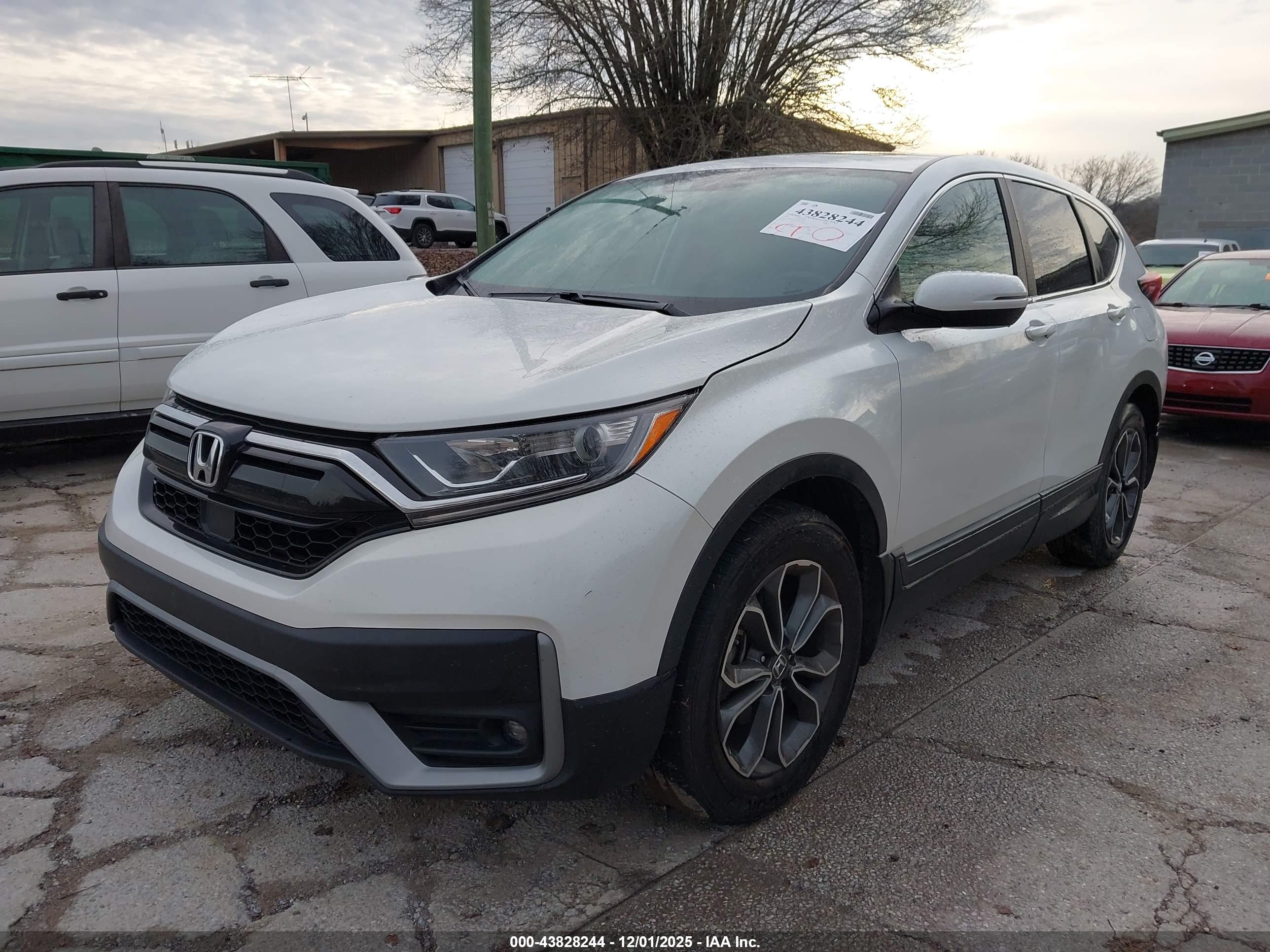HONDA CR-V image 2