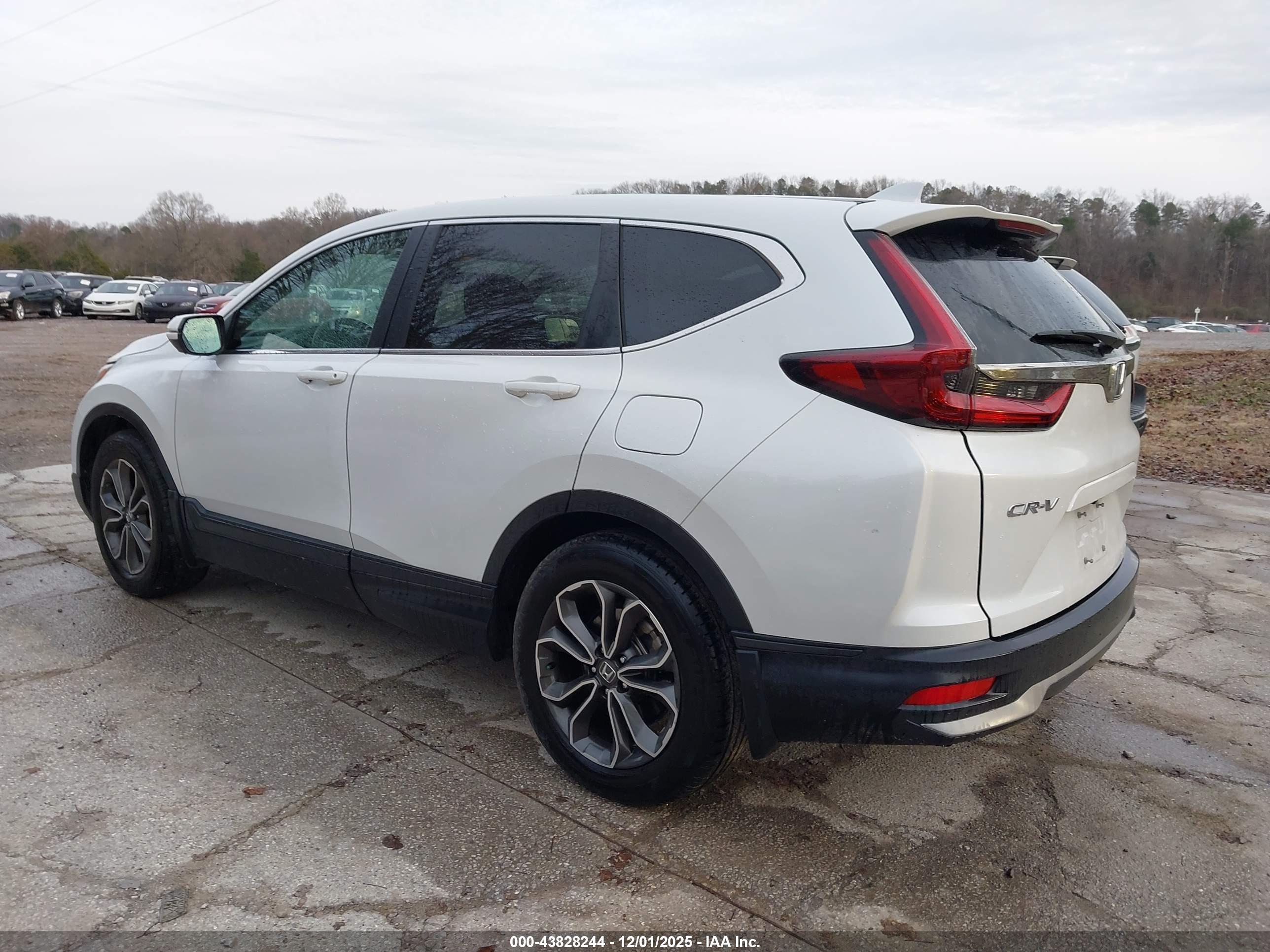 HONDA CR-V image 3