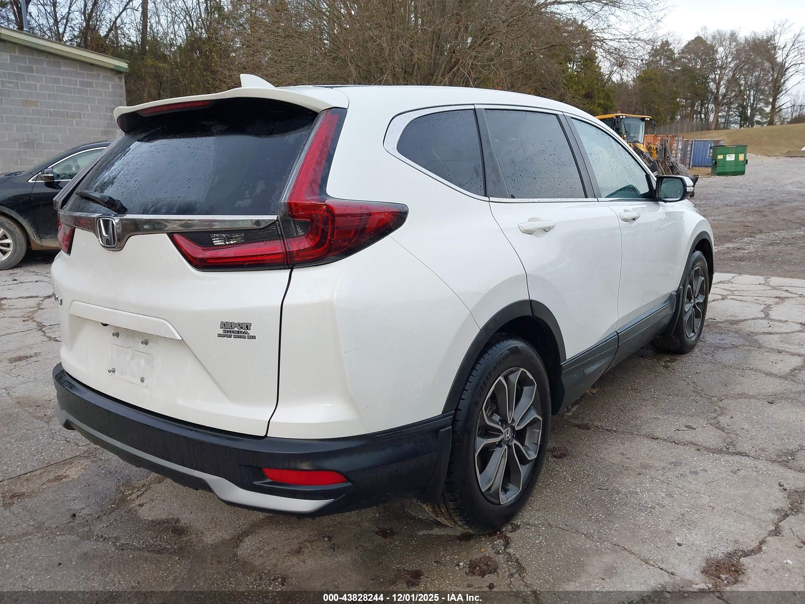 HONDA CR-V image 4