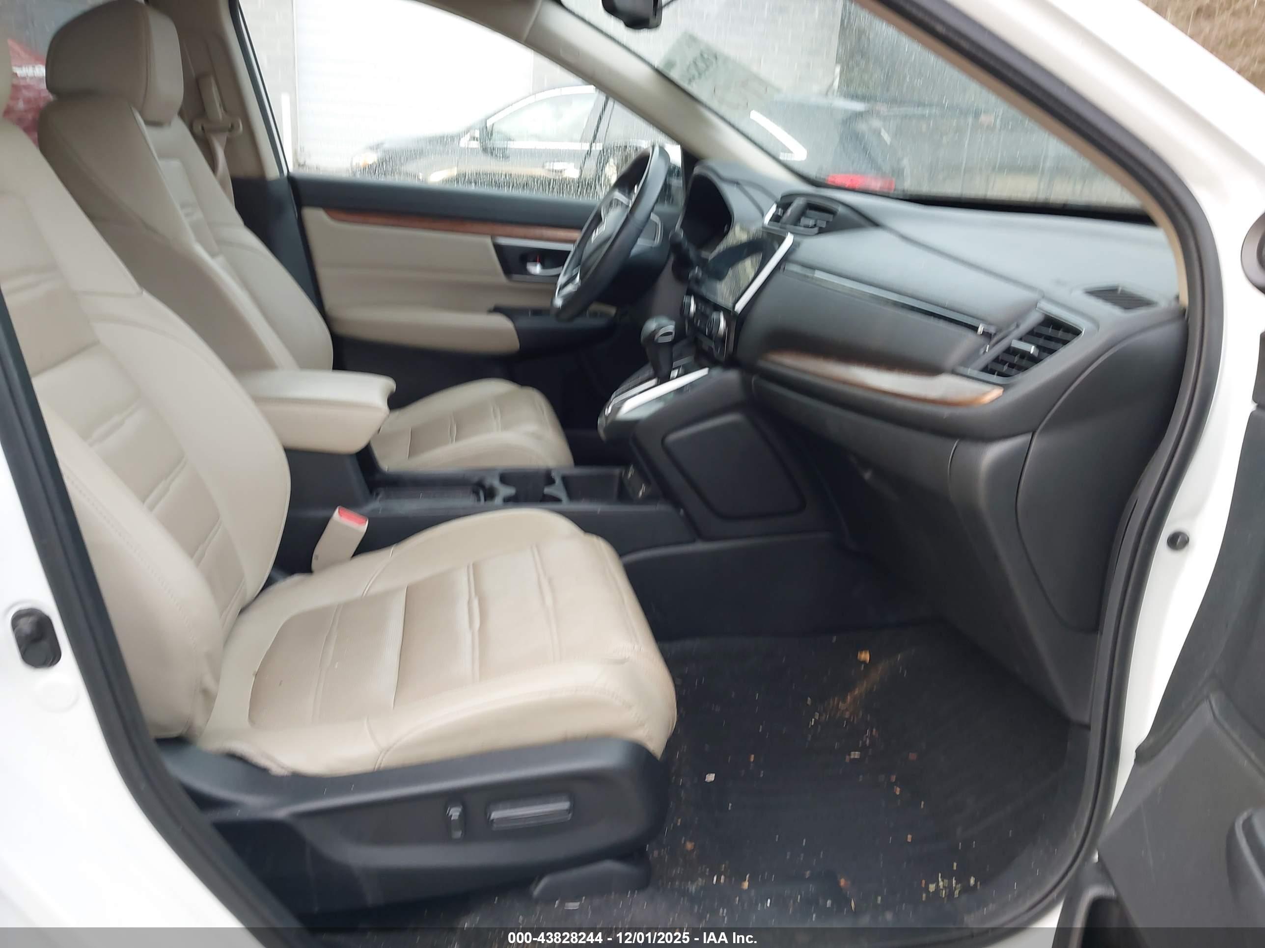 HONDA CR-V image 5