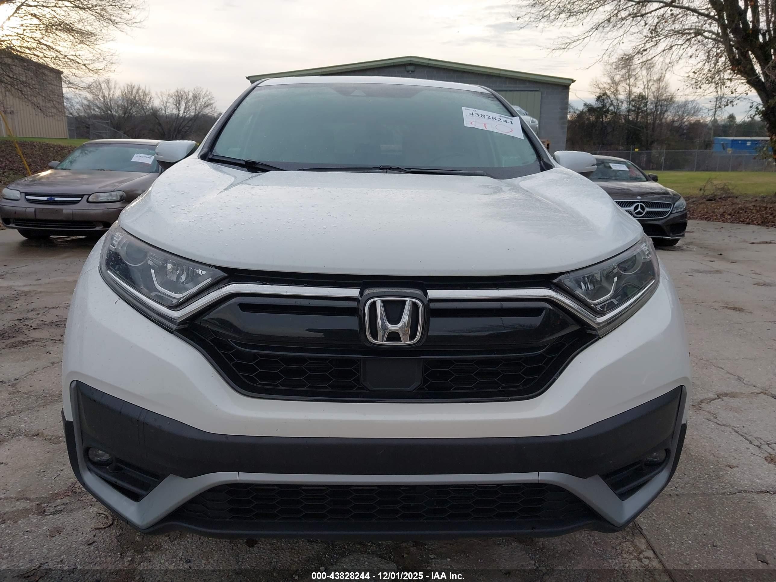 HONDA CR-V image 6