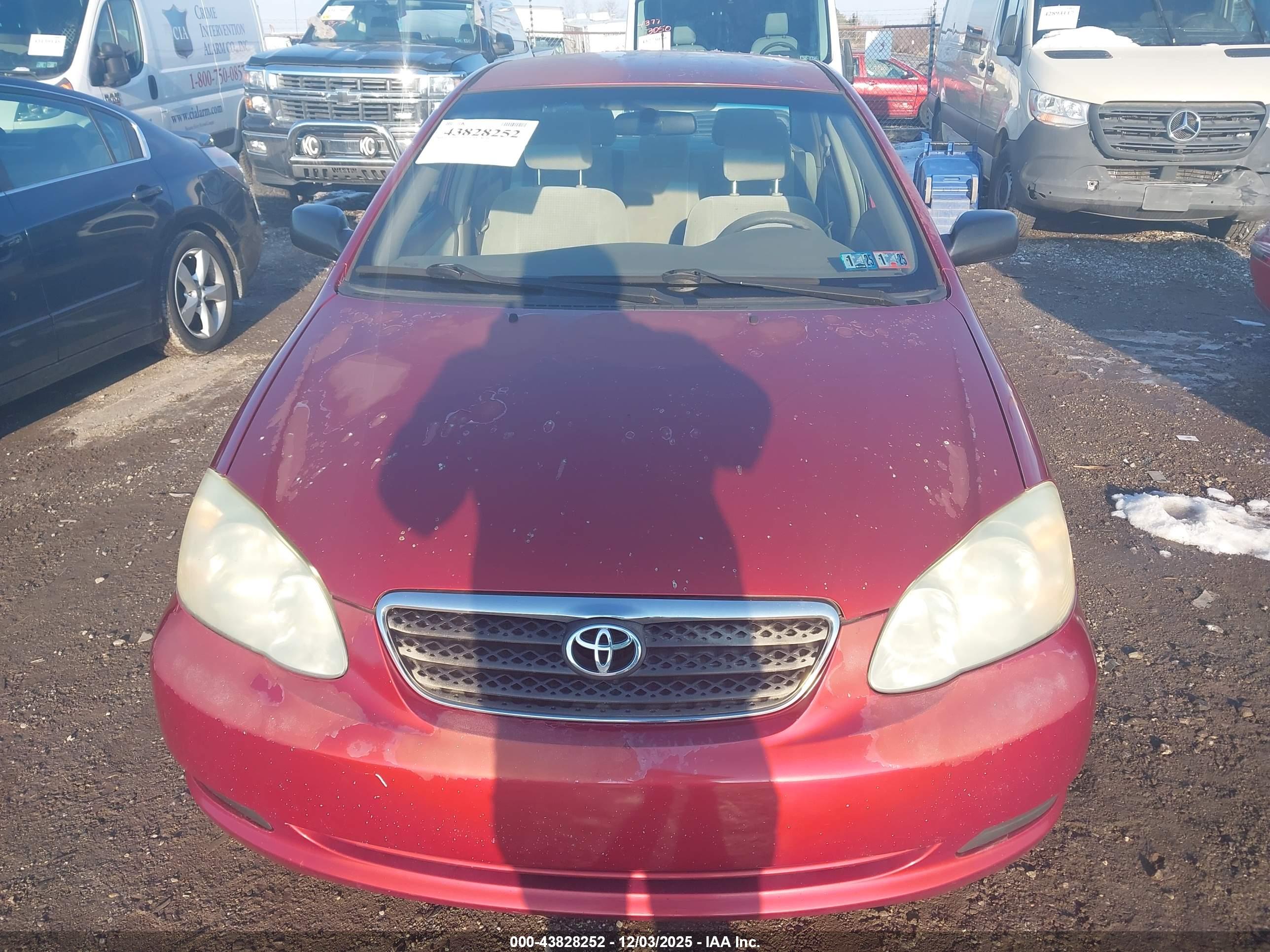 TOYOTA COROLLA image 6