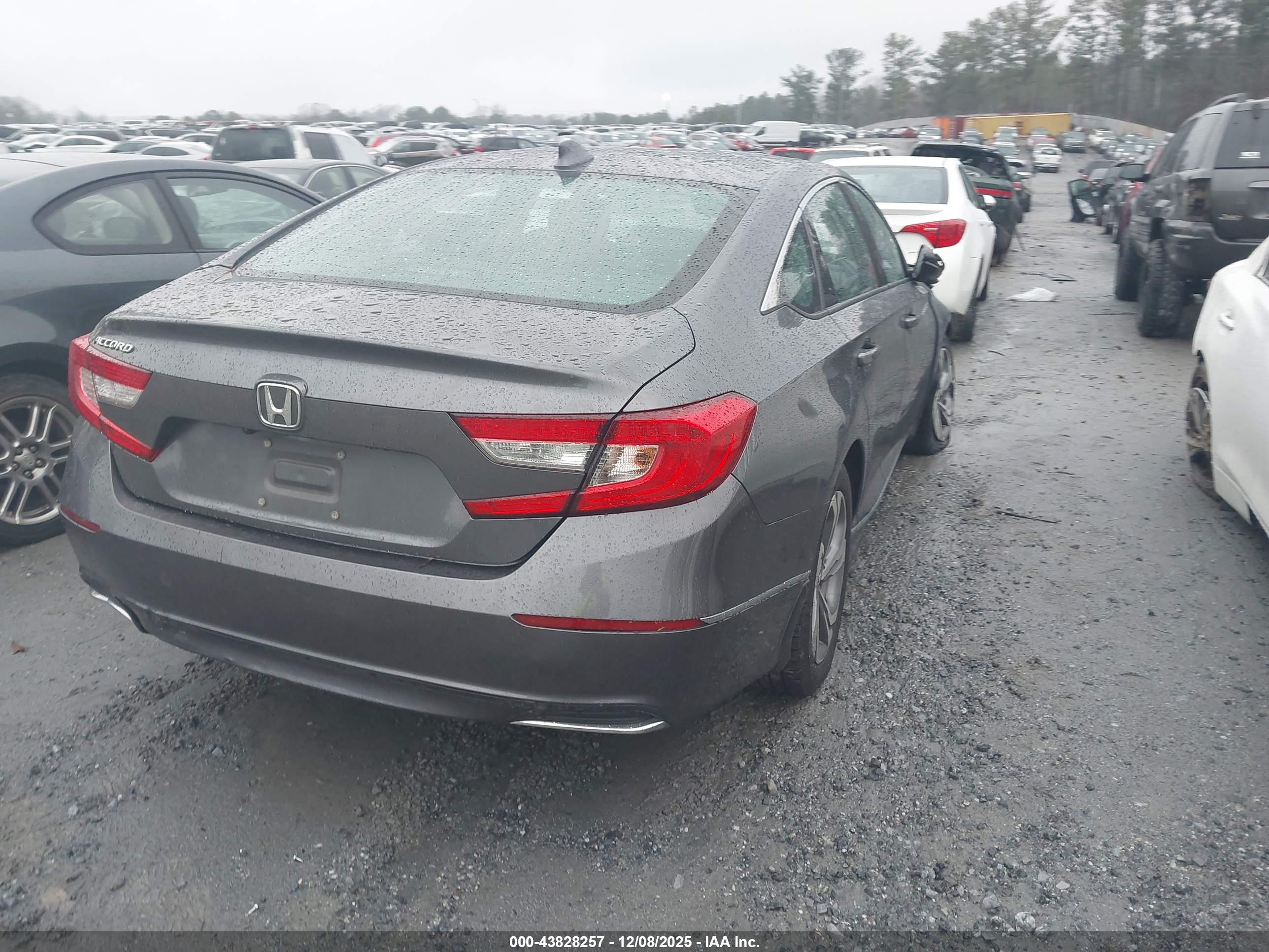 HONDA ACCORD image 4