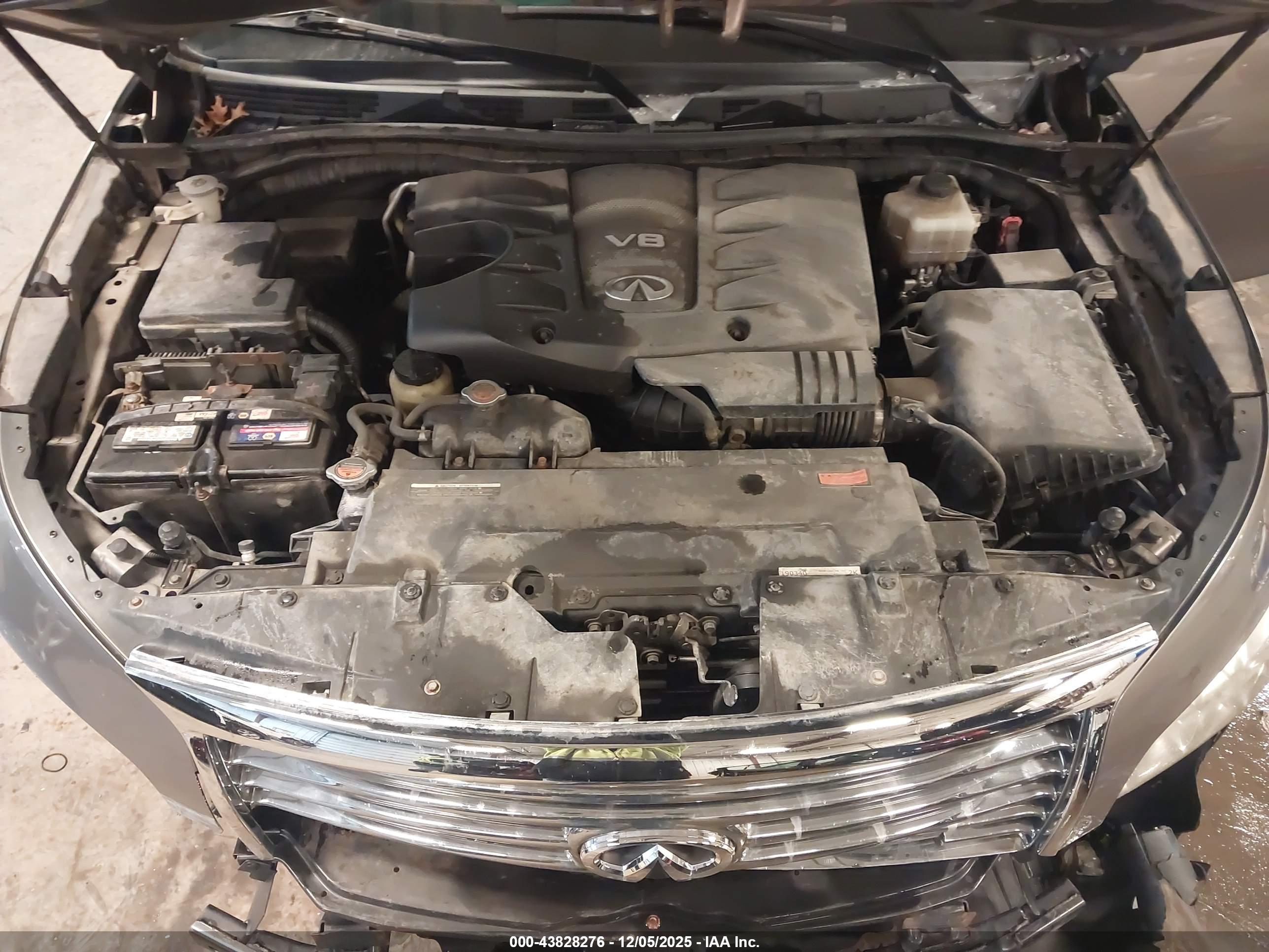 INFINITI QX80 image 10