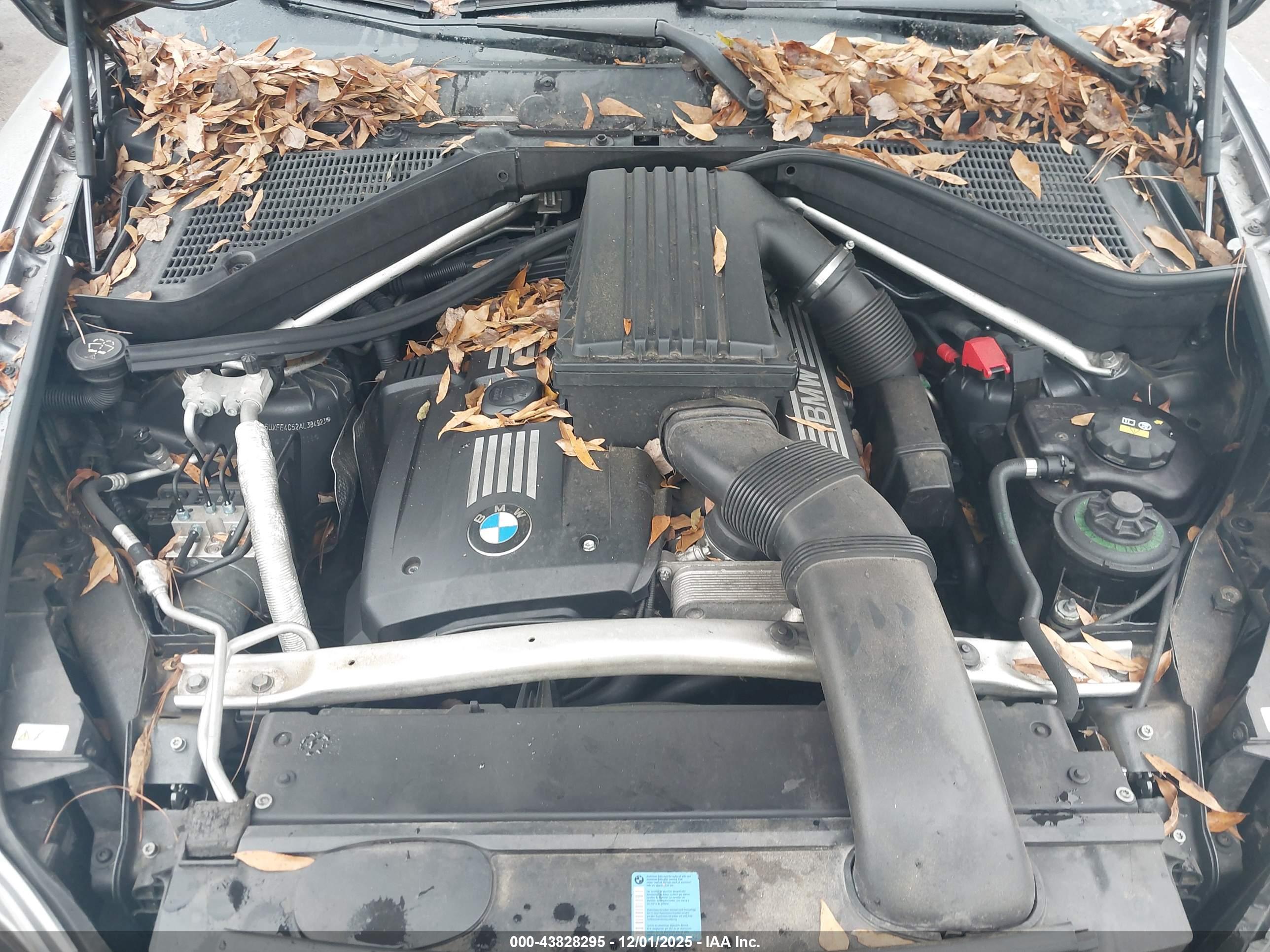 BMW X5 image 10