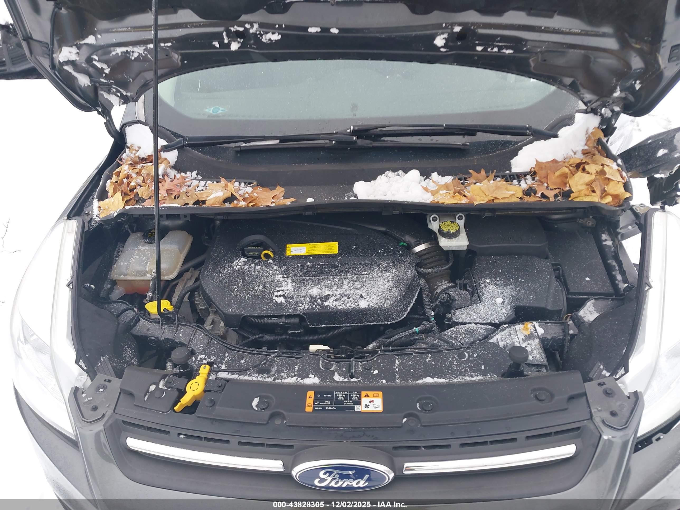 FORD ESCAPE image 10