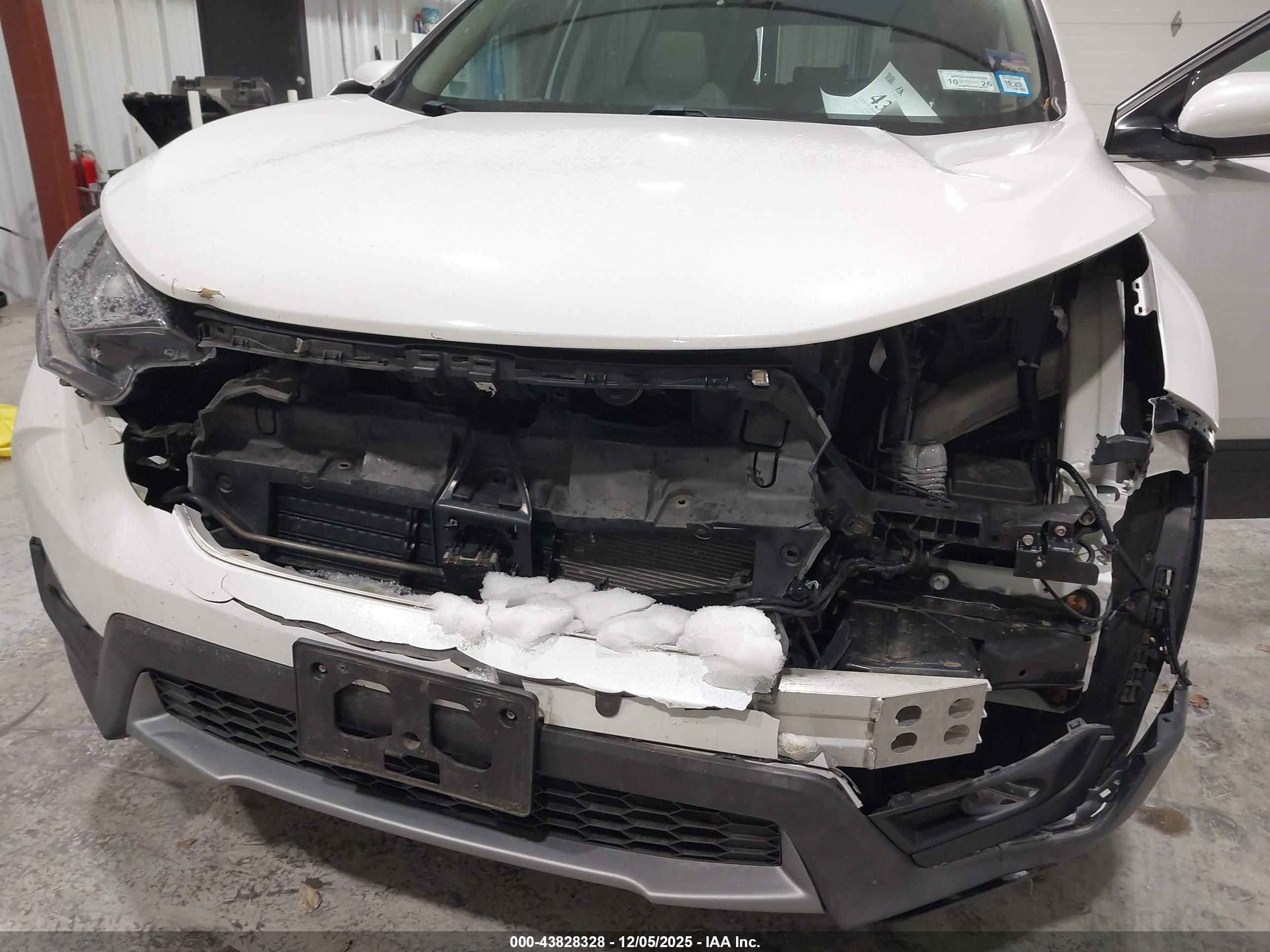 HONDA CR-V image 6