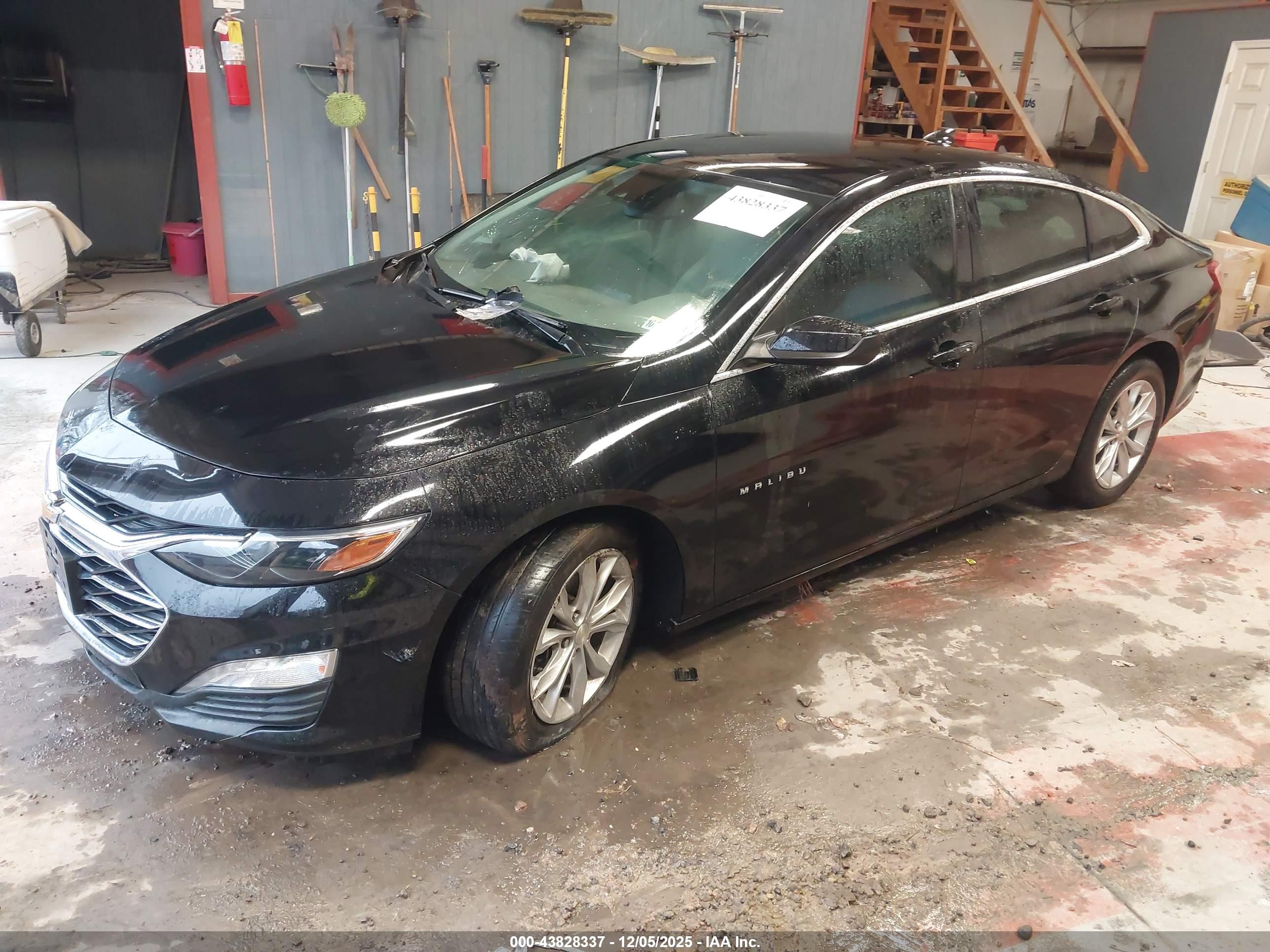 CHEVROLET MALIBU image 2