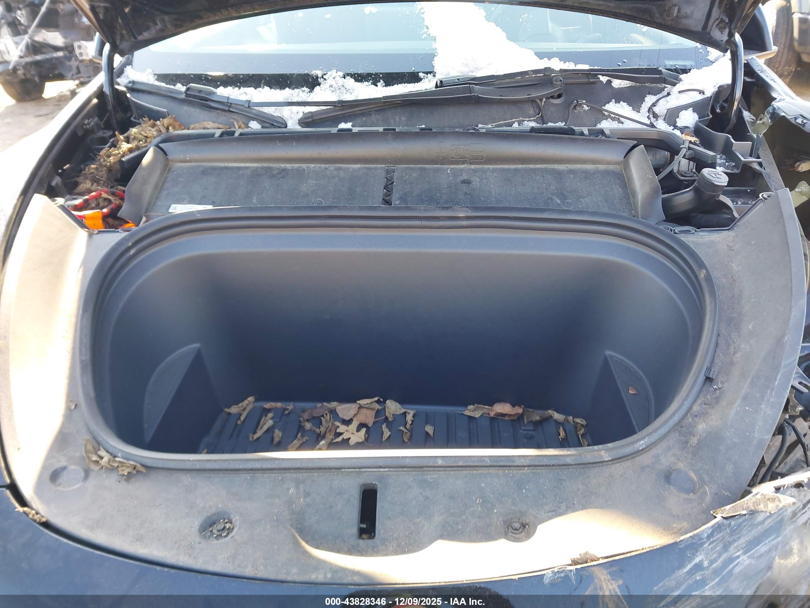 TESLA MODEL image 10