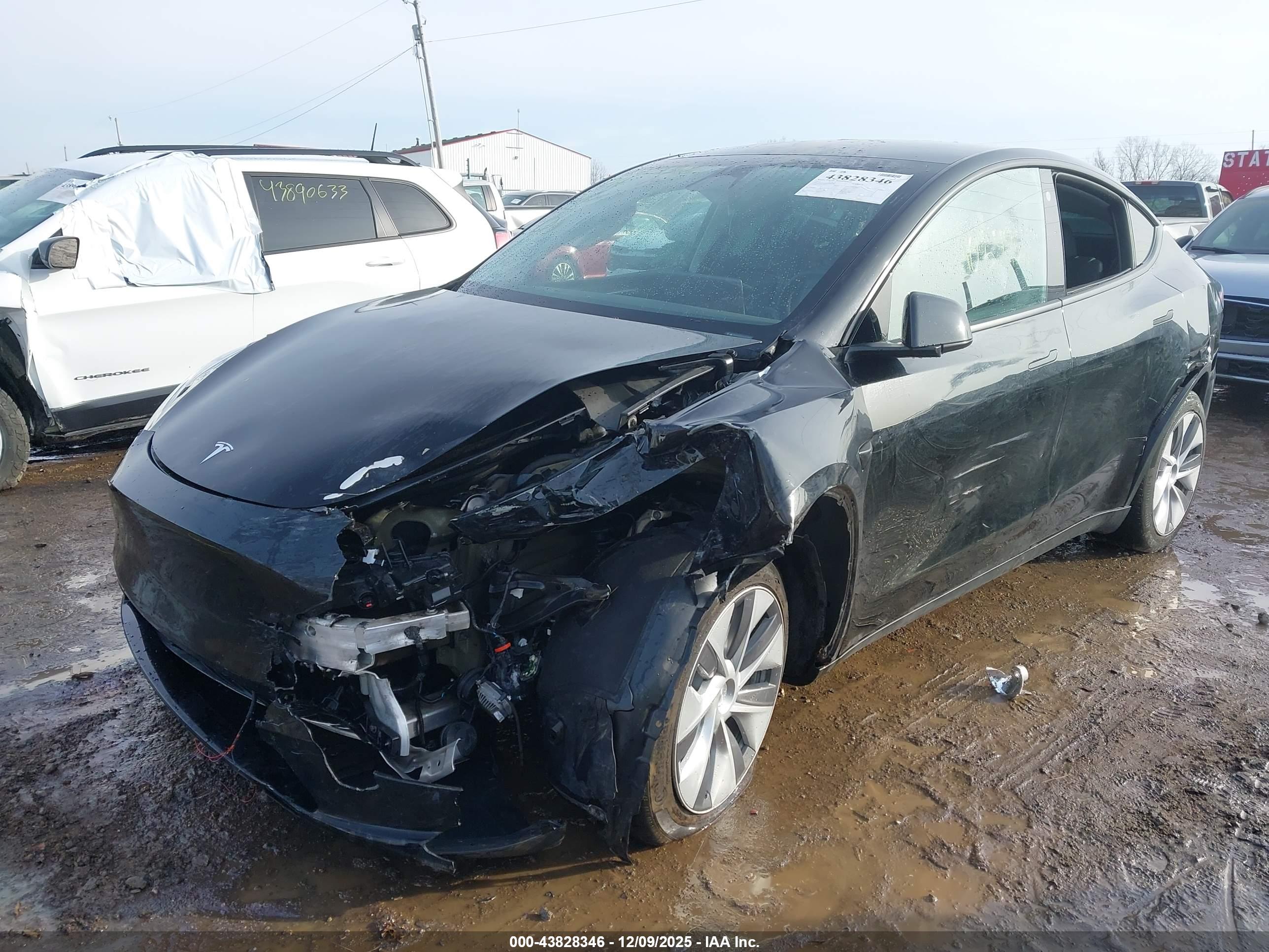 TESLA MODEL image 2