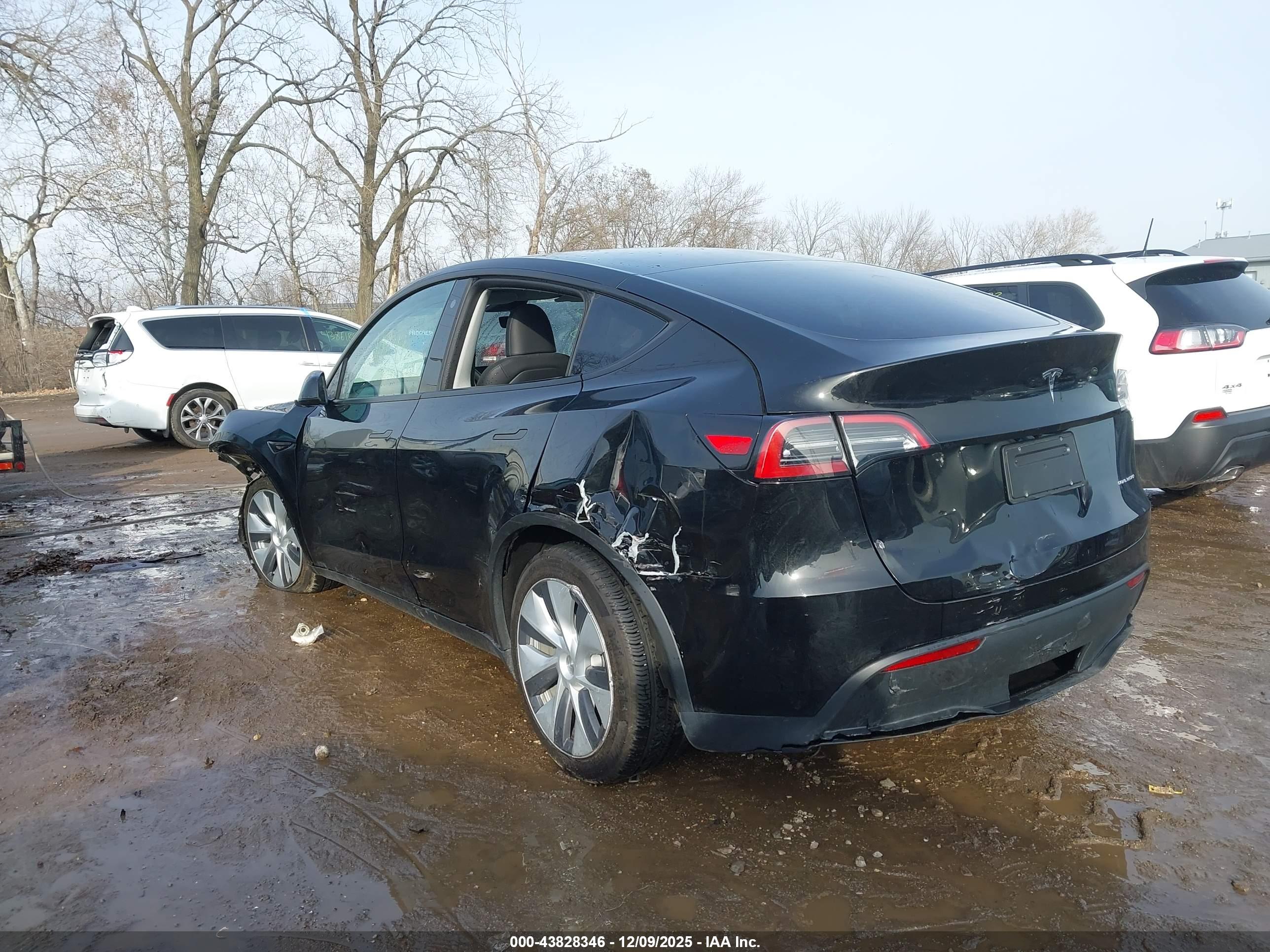 TESLA MODEL image 3