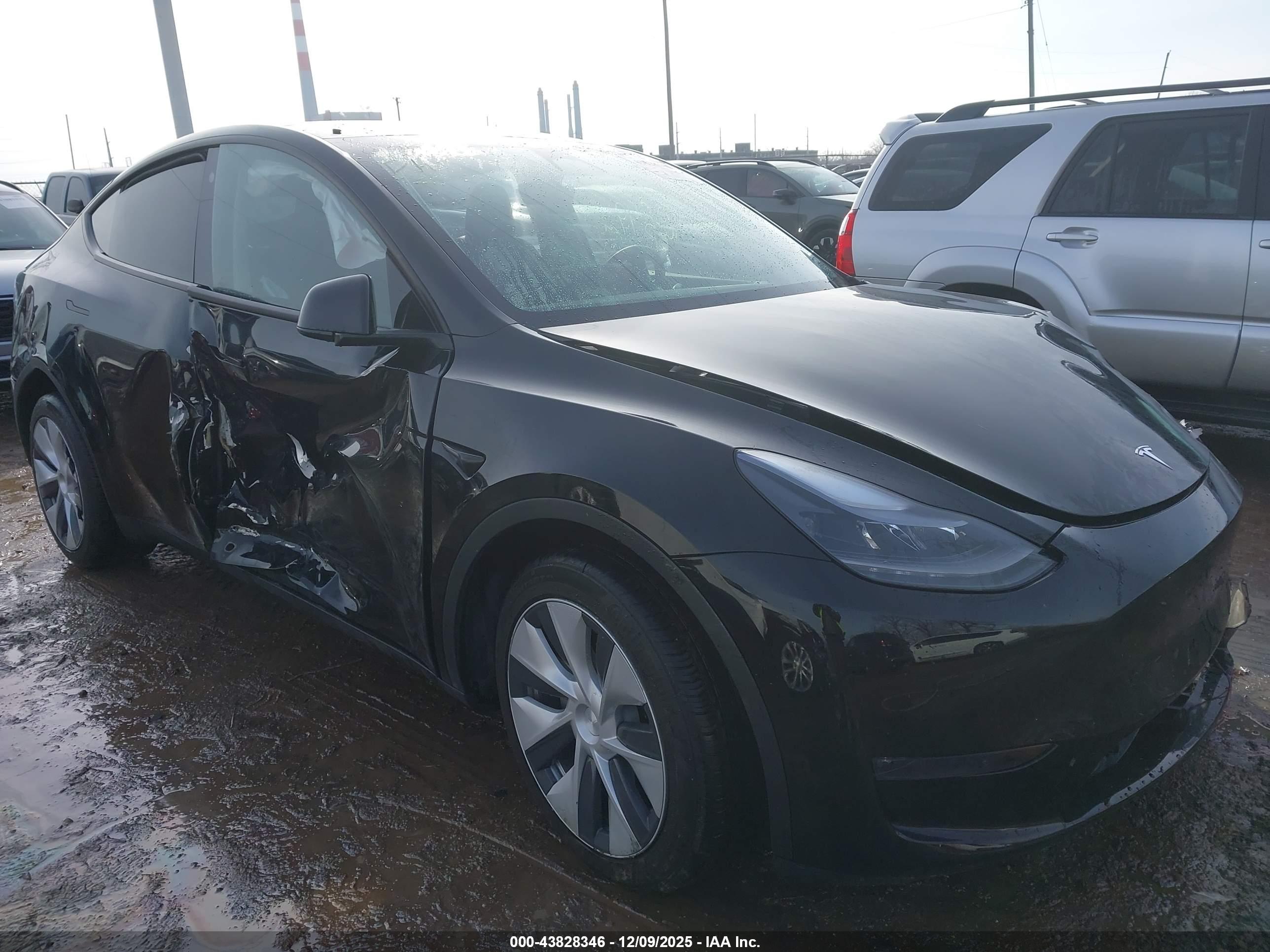 TESLA MODEL image 6