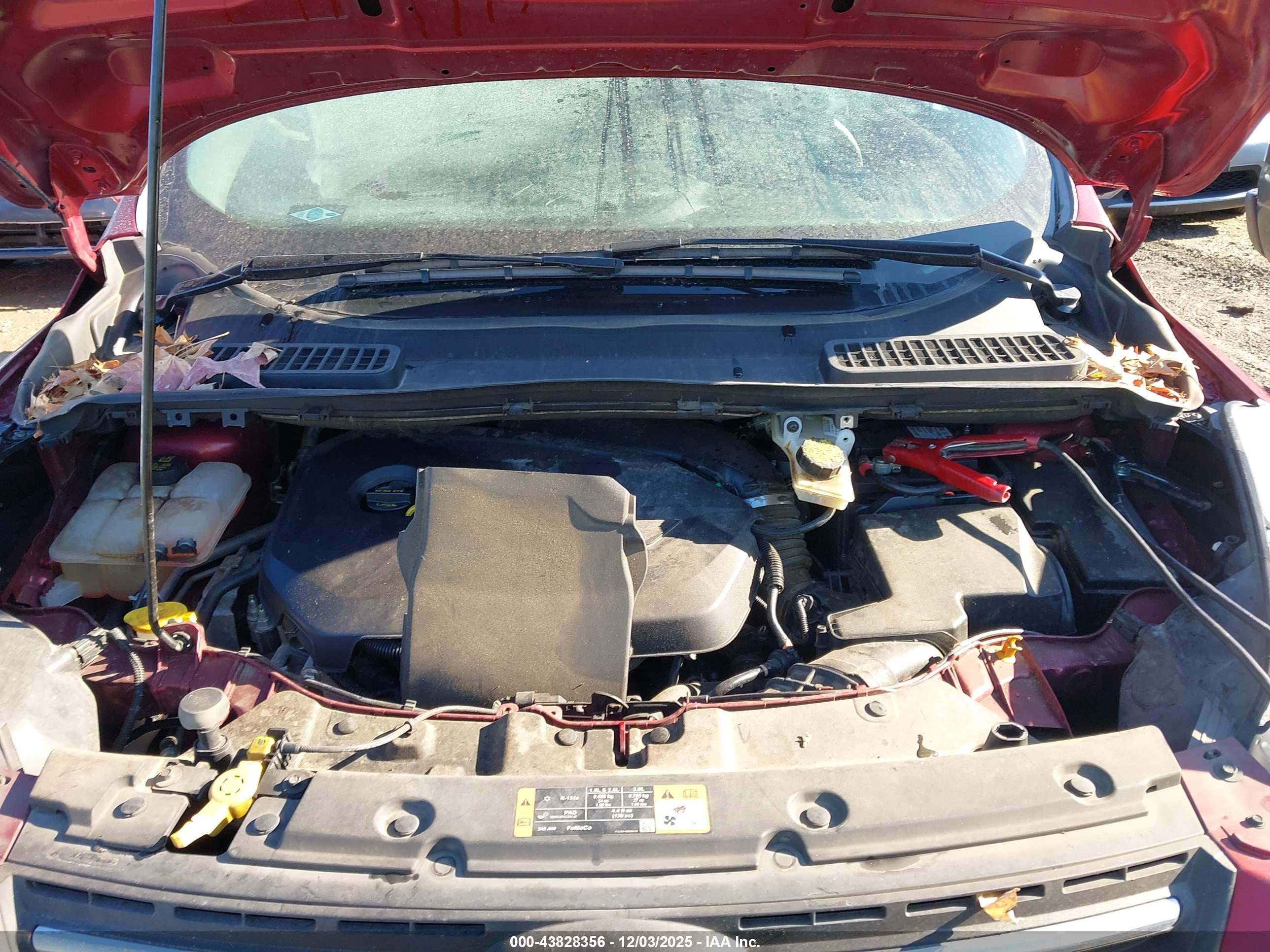 FORD ESCAPE image 10