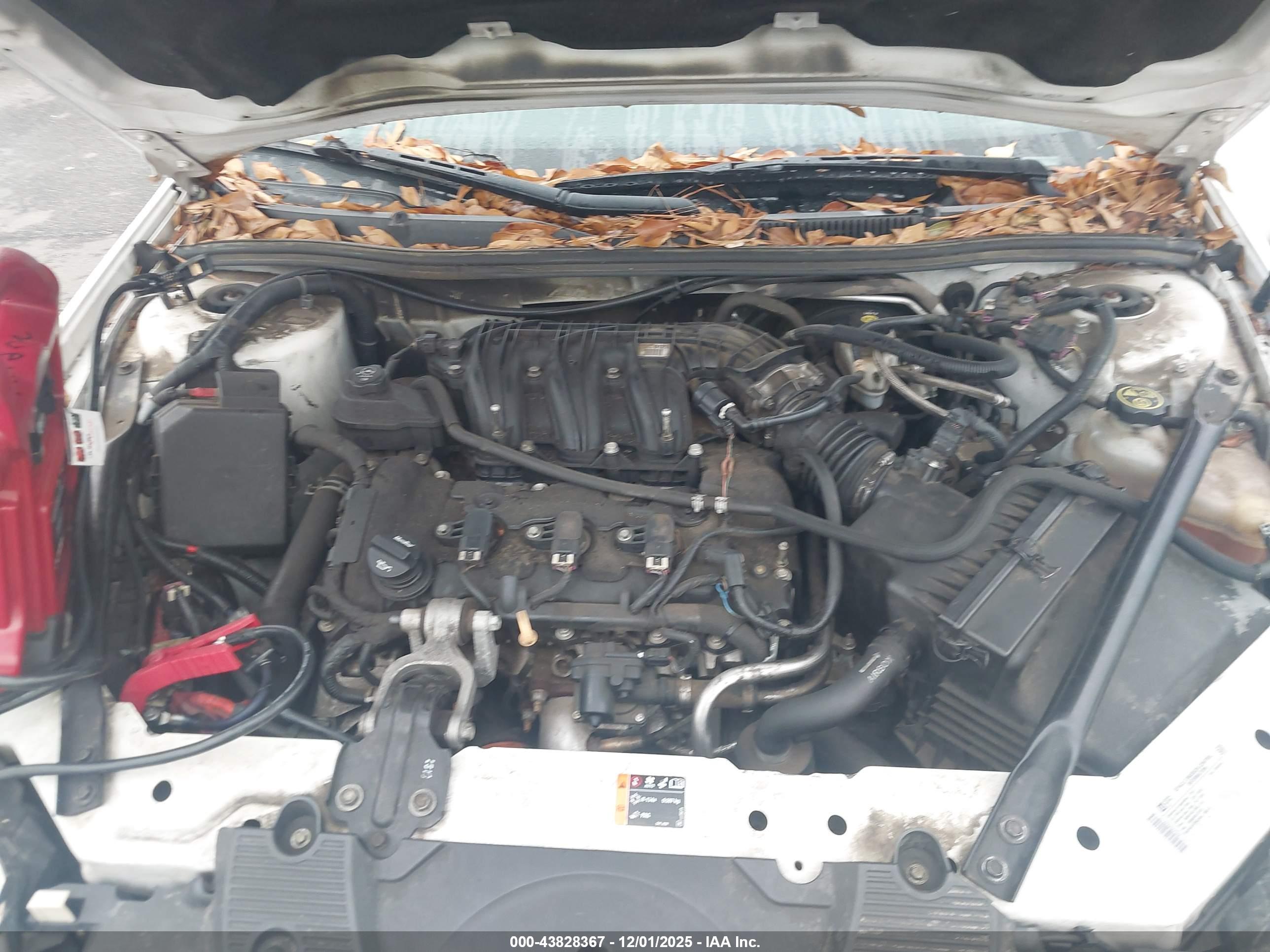 CHEVROLET IMPALA image 10