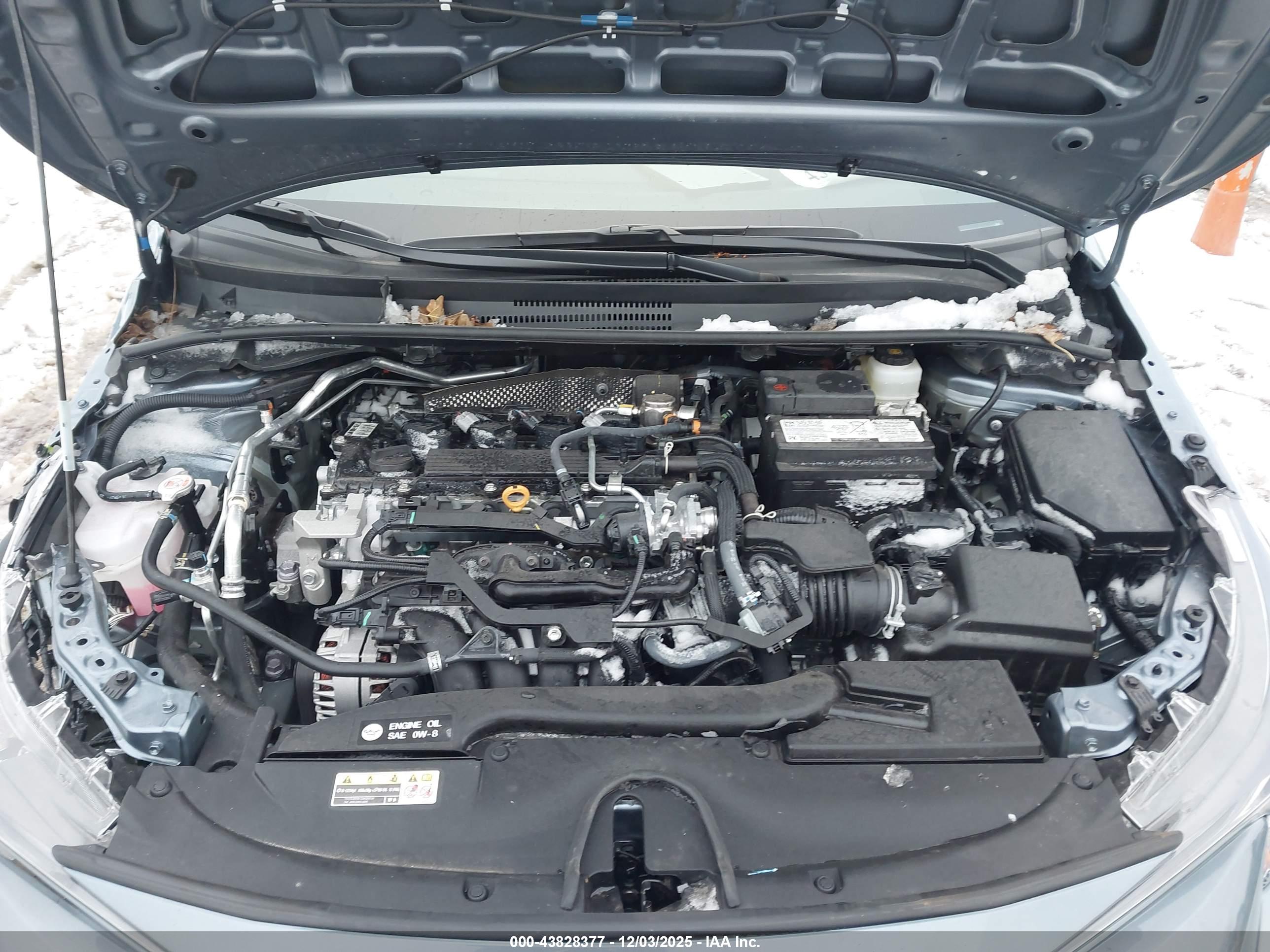 TOYOTA COROLLA image 10