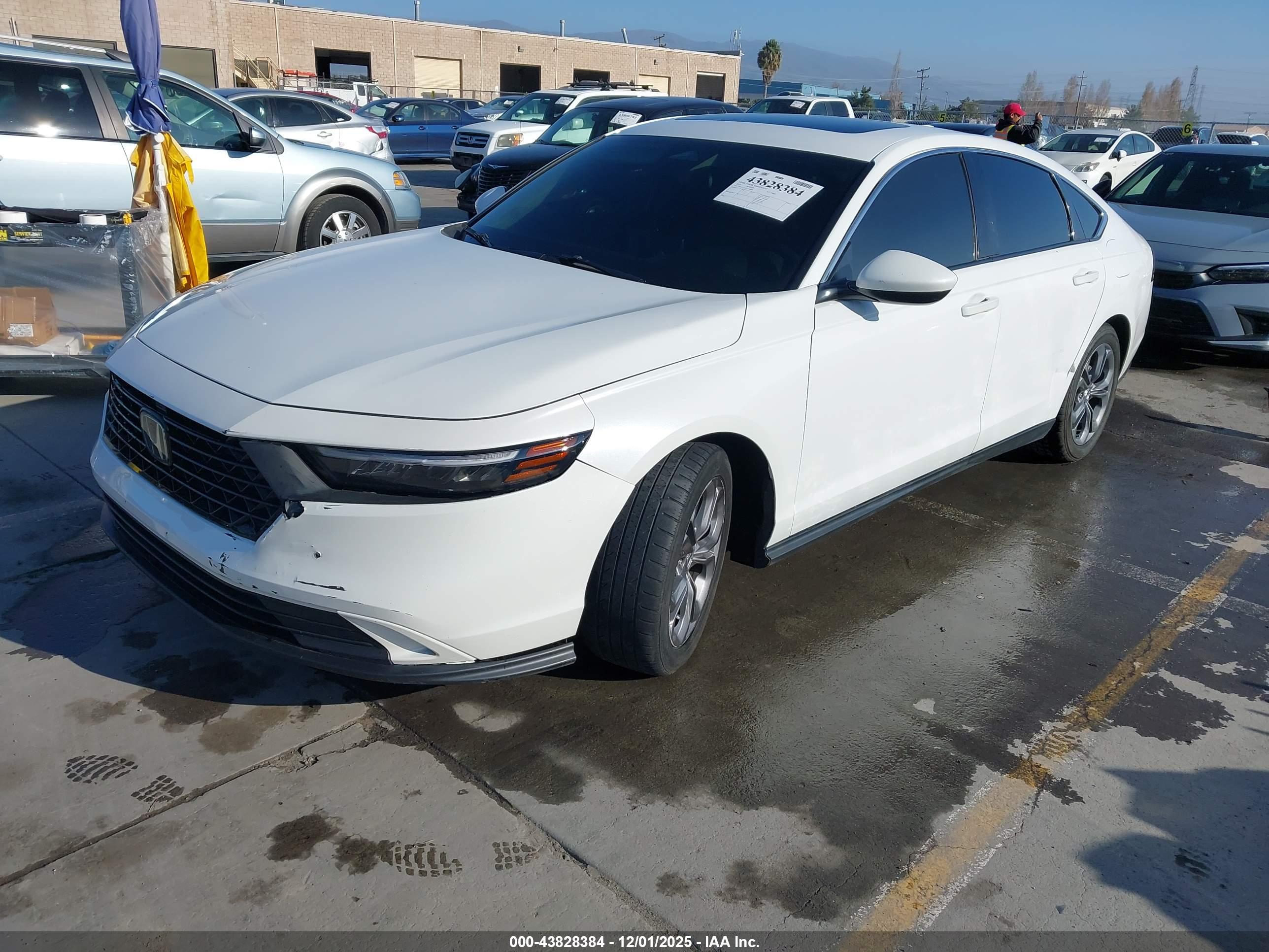 HONDA ACCORD image 2