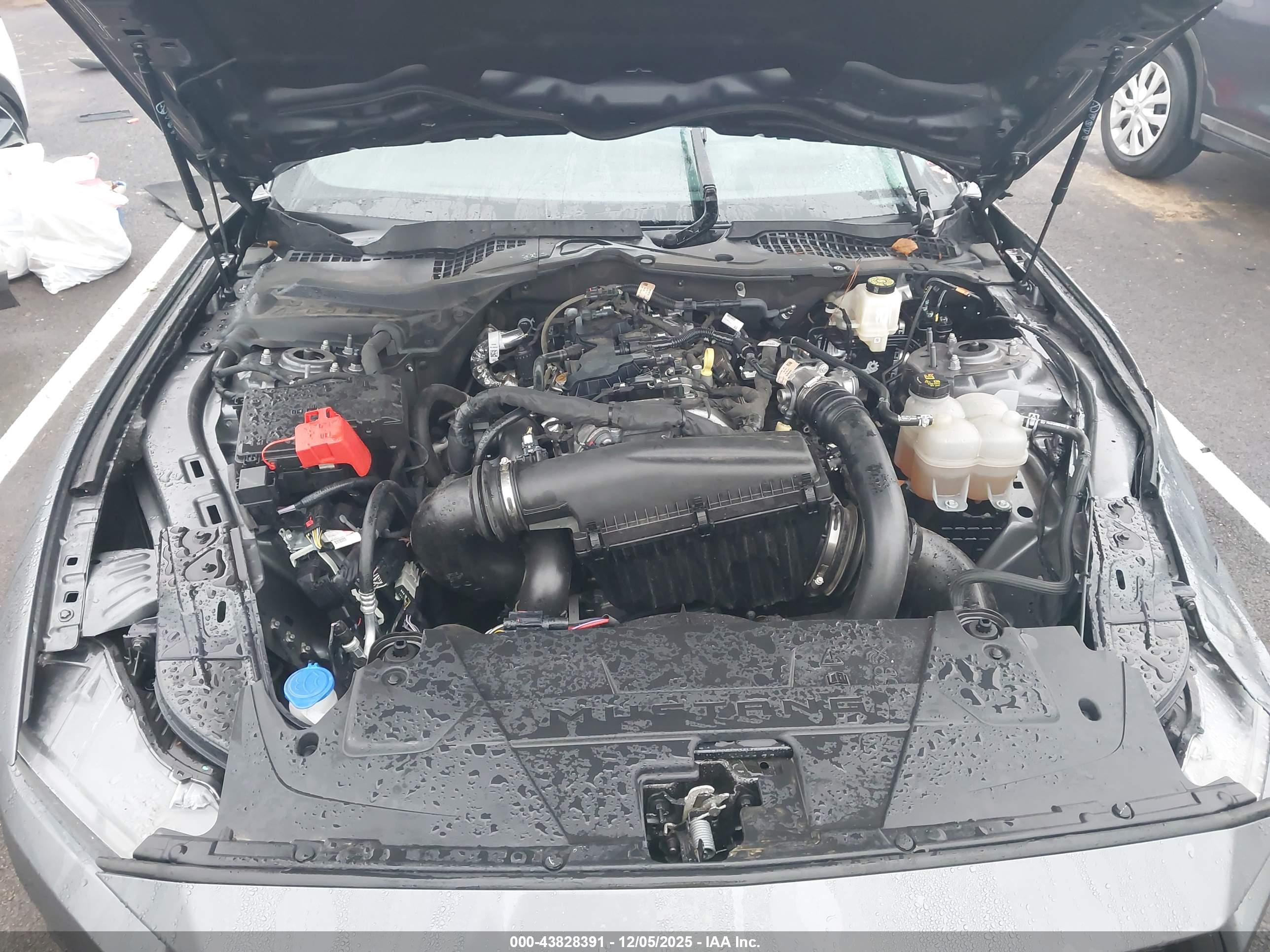FORD MUSTANG image 10