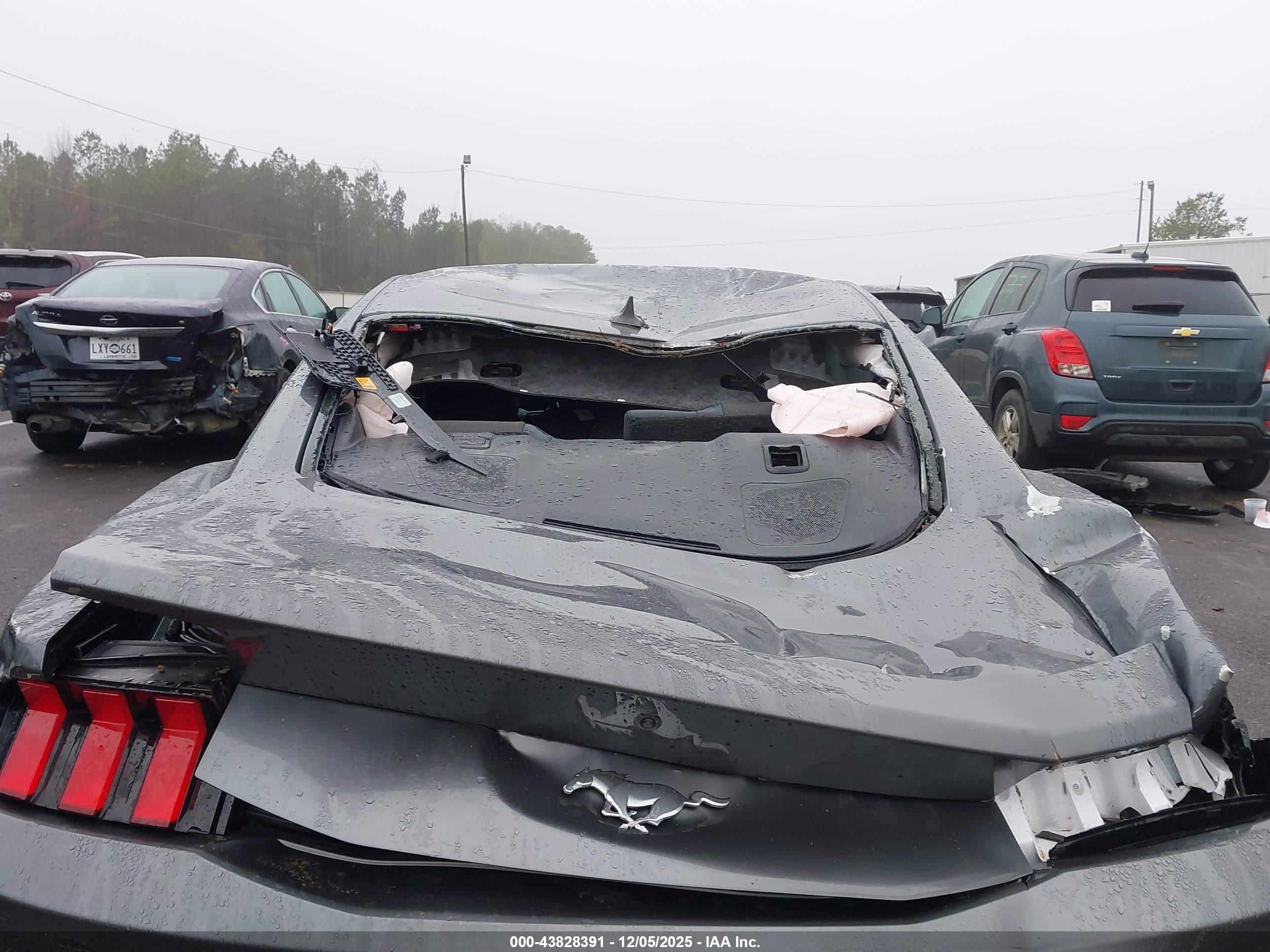 FORD MUSTANG image 6
