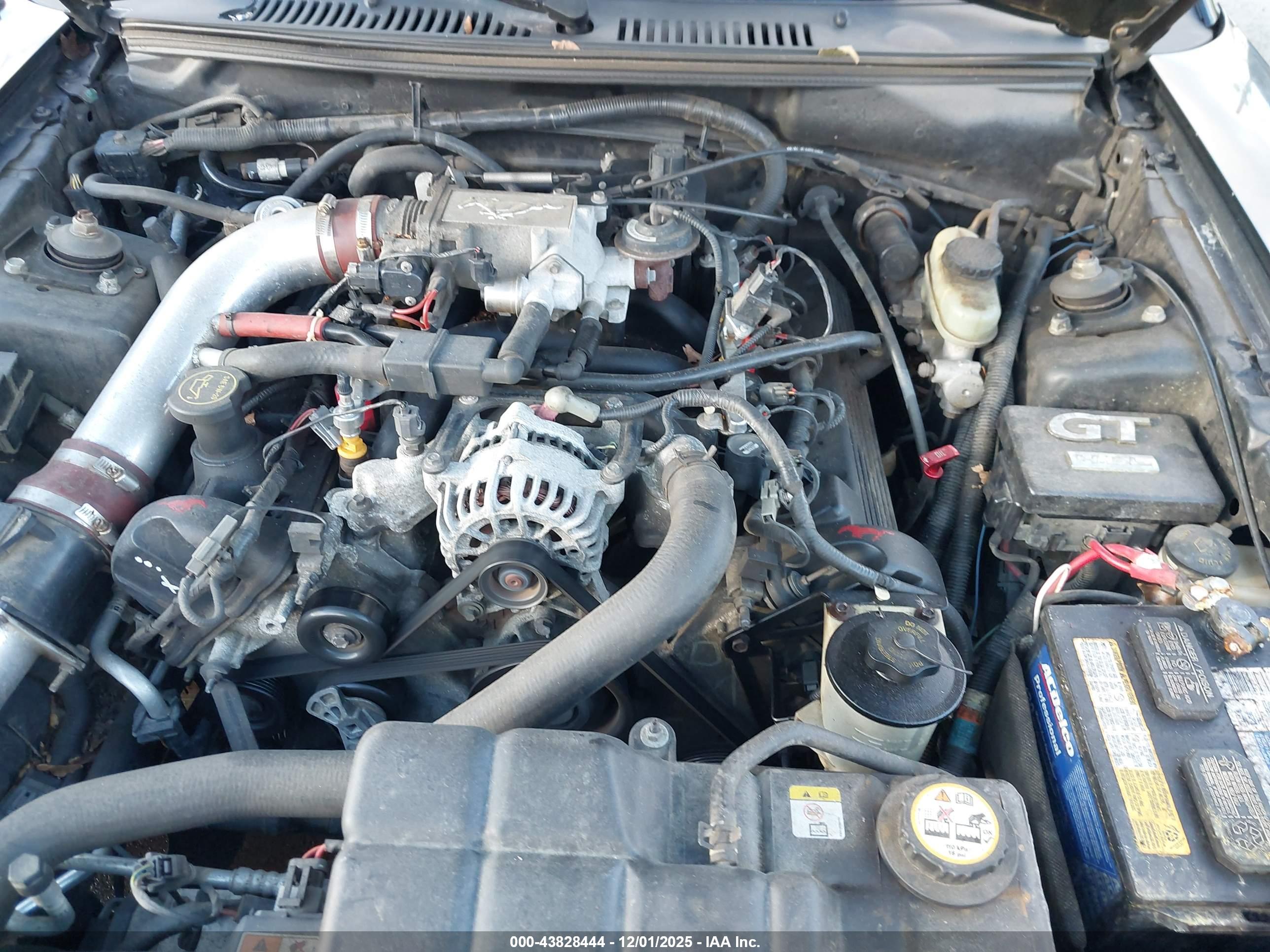 FORD MUSTANG image 10