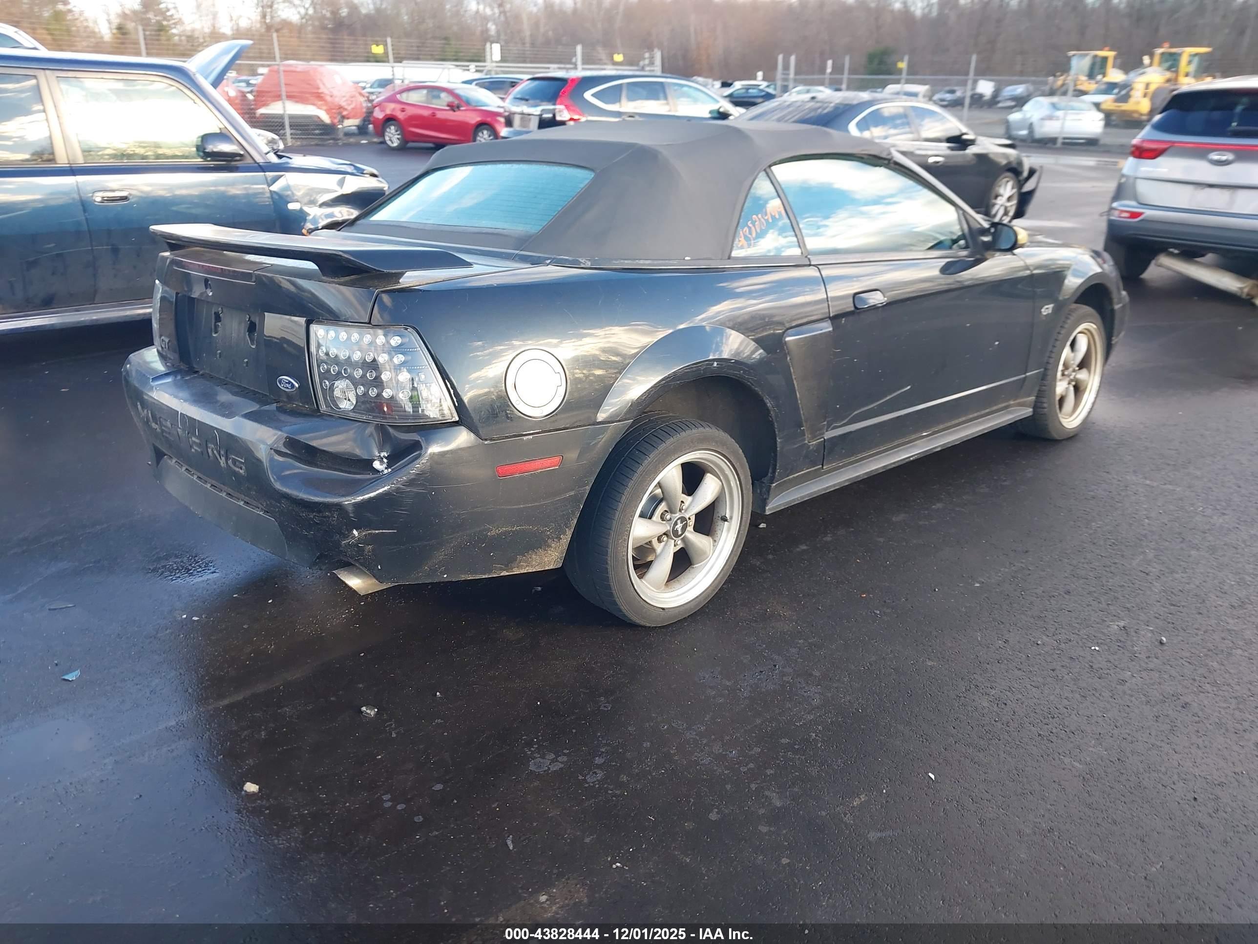 FORD MUSTANG image 4