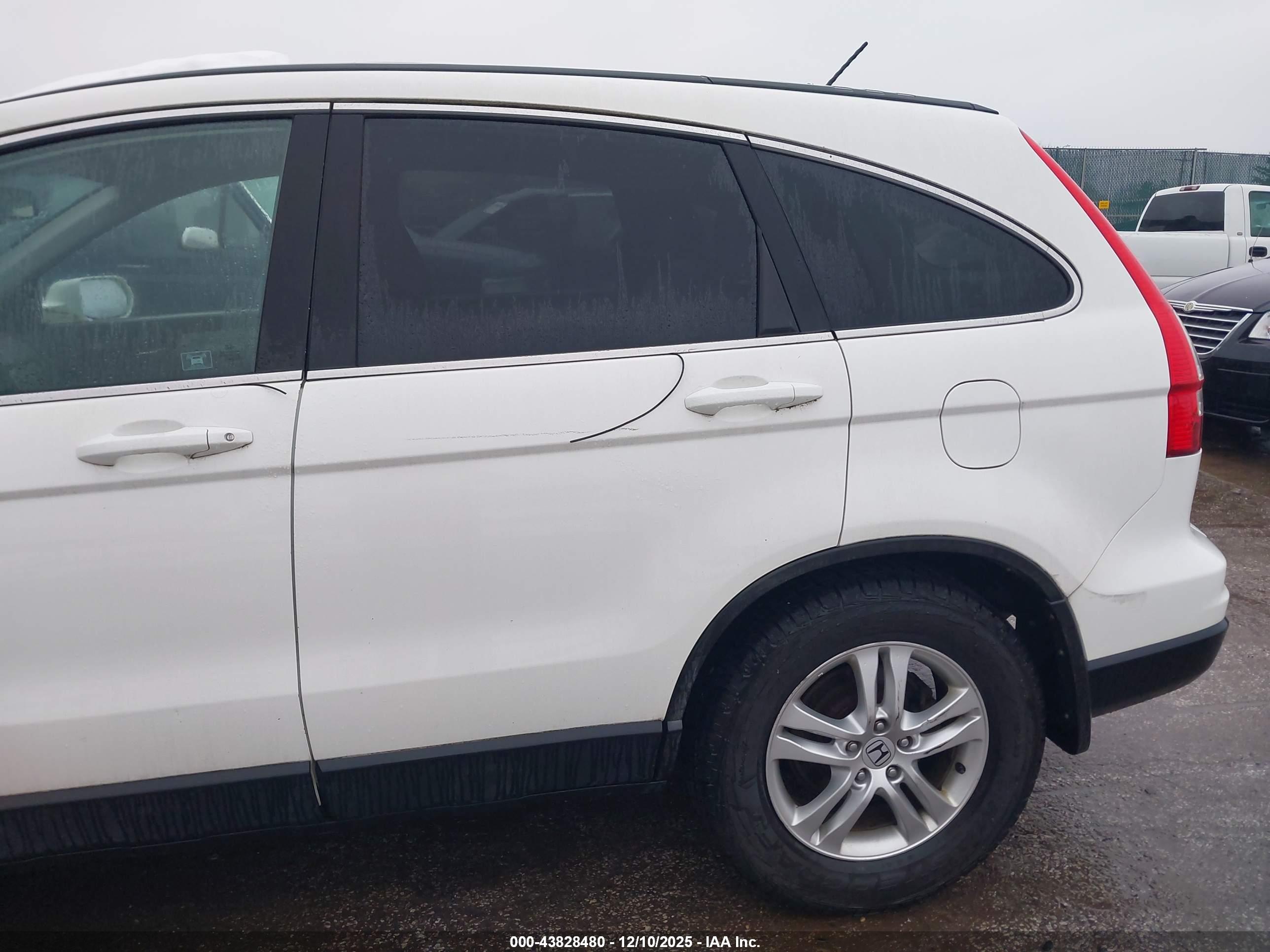 HONDA CR-V image 6