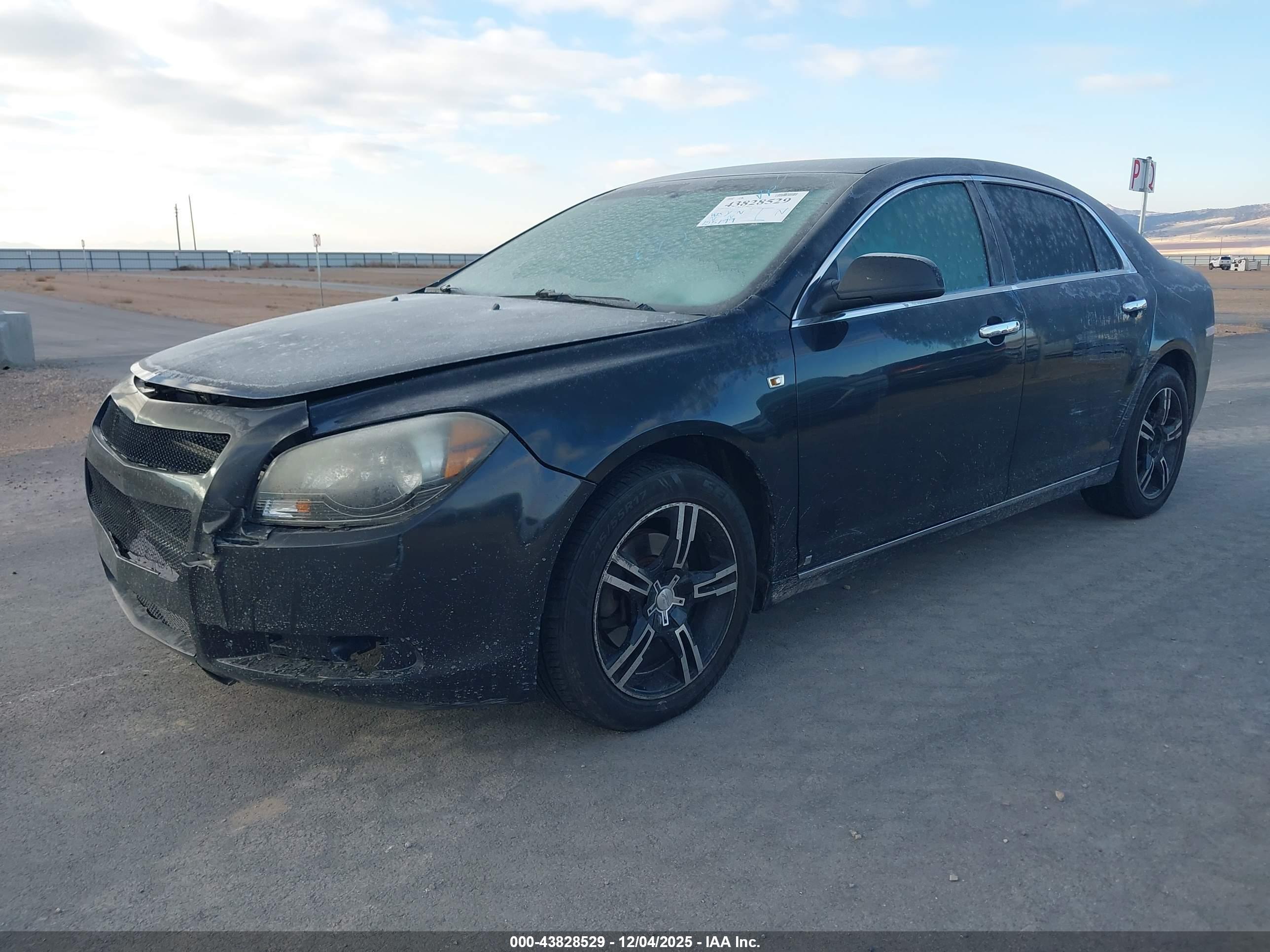 CHEVROLET MALIBU image 2