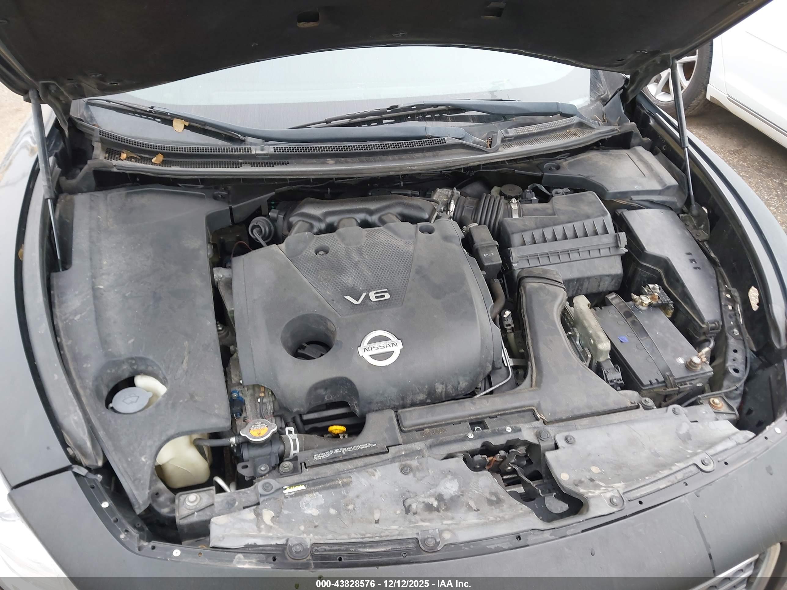 NISSAN MAXIMA image 10