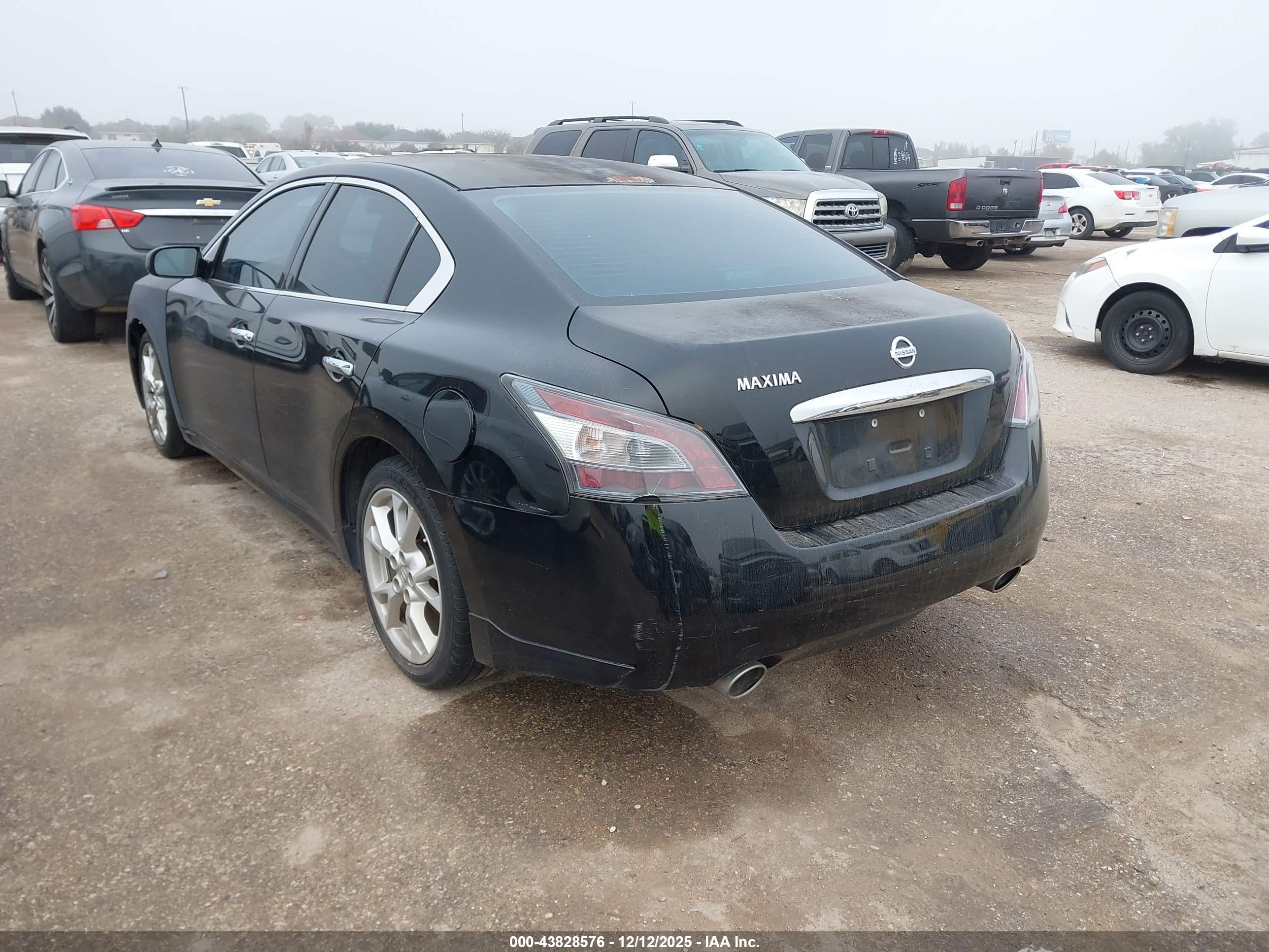 NISSAN MAXIMA image 3