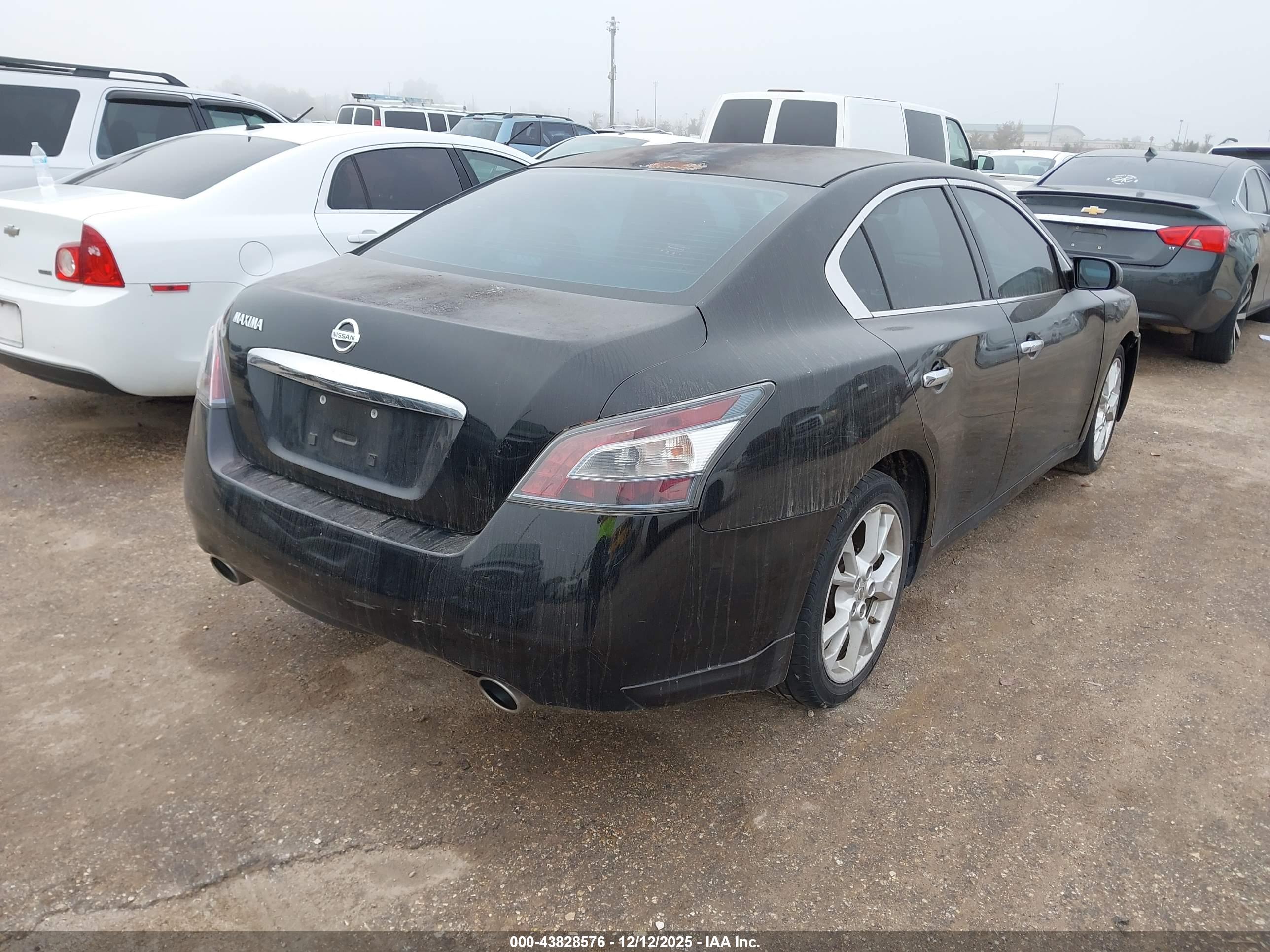 NISSAN MAXIMA image 4