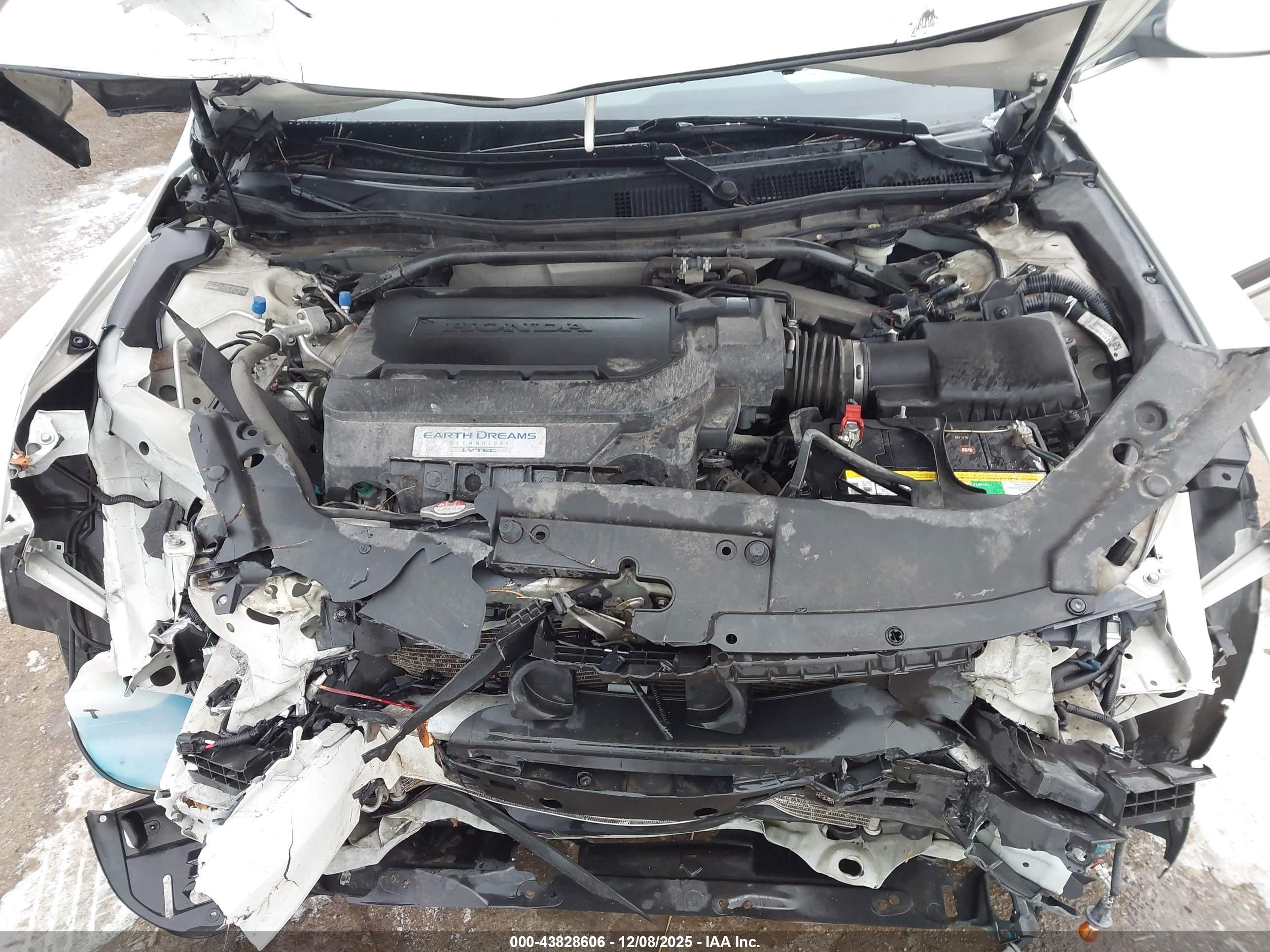 HONDA CROSSTOUR image 10