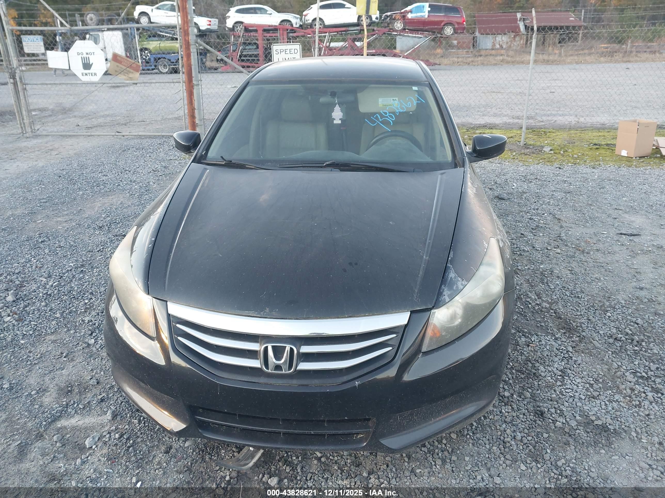 HONDA ACCORD image 6