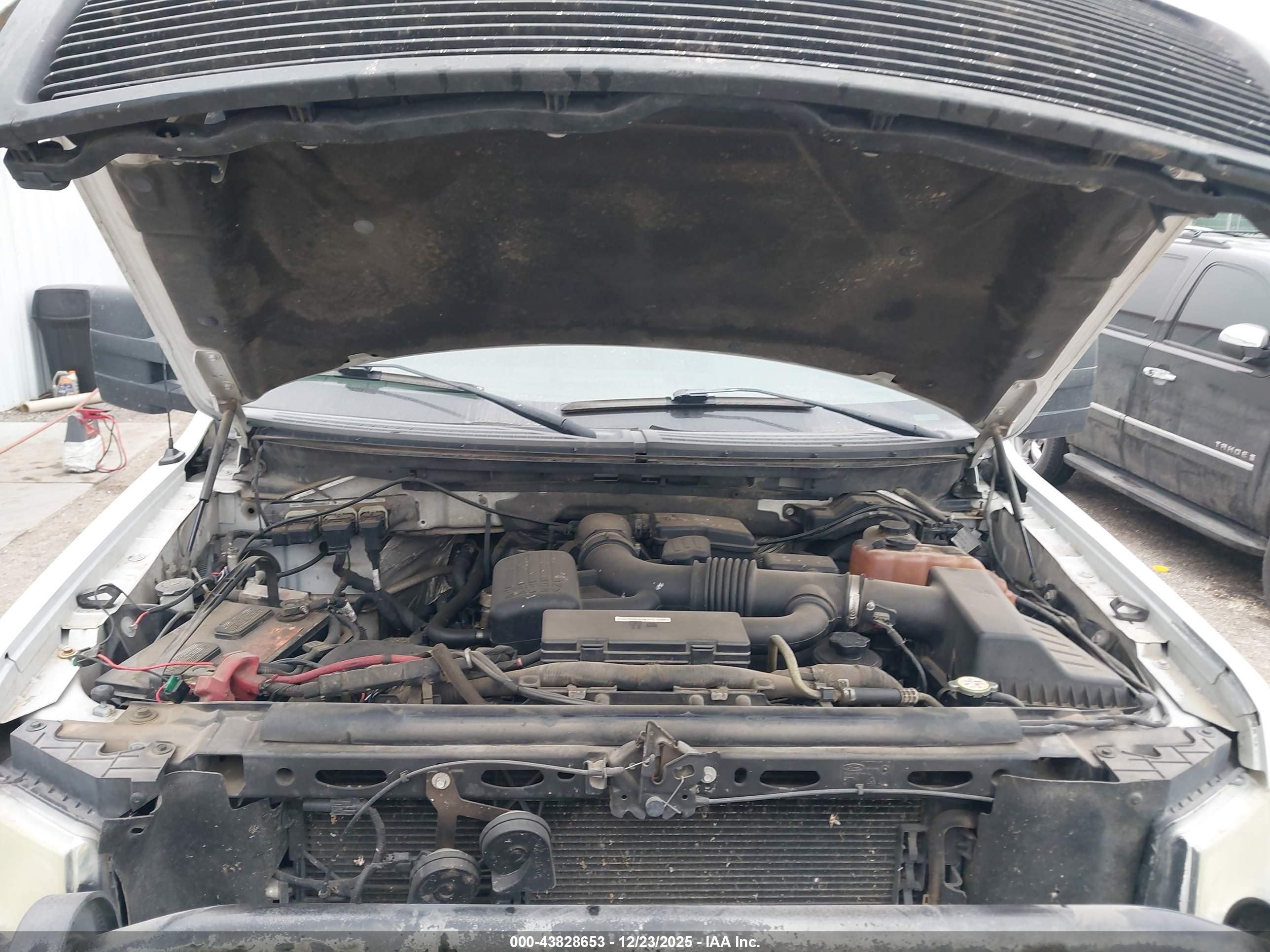 FORD F-150 image 10