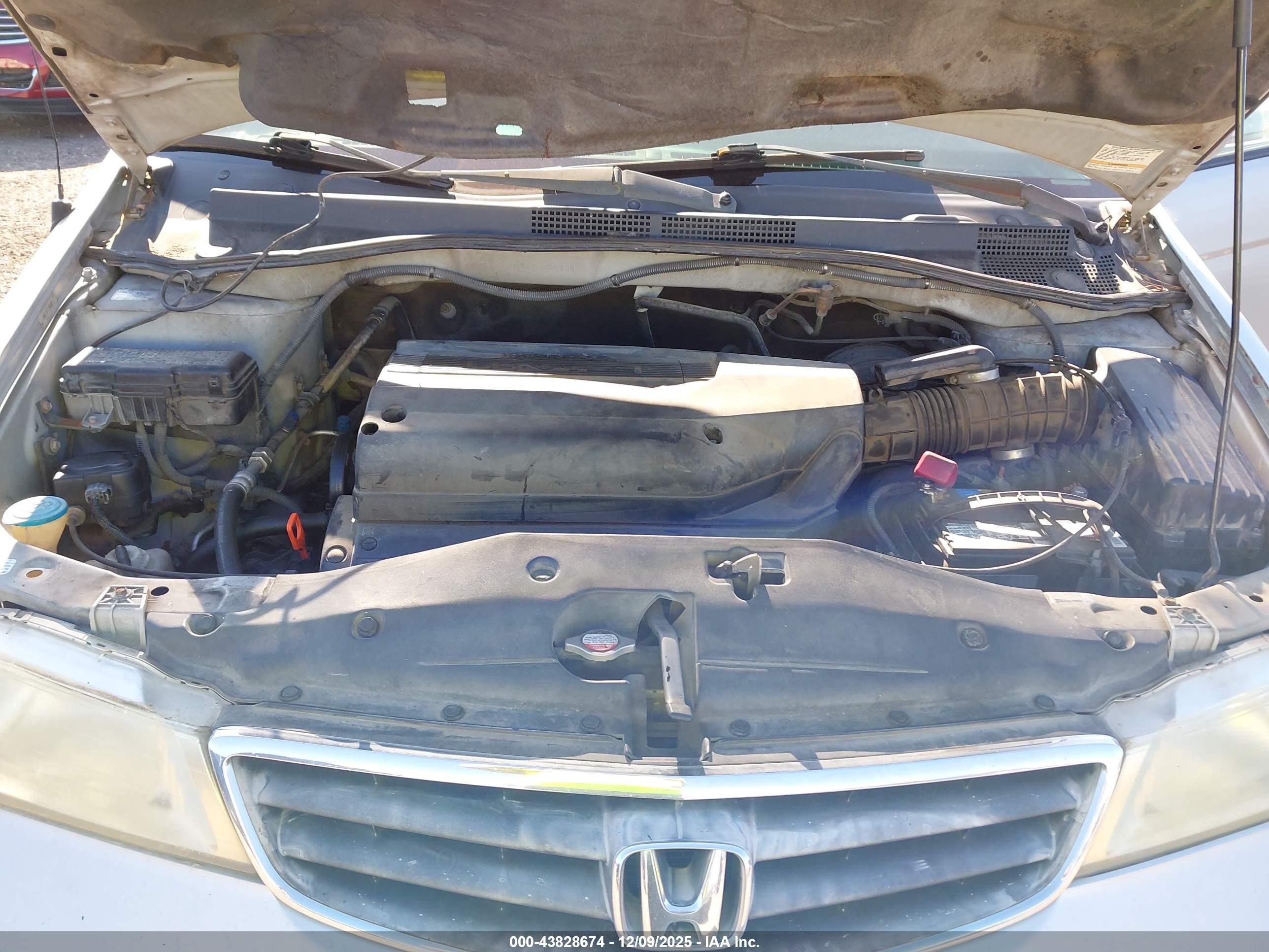 HONDA ODYSSEY image 10