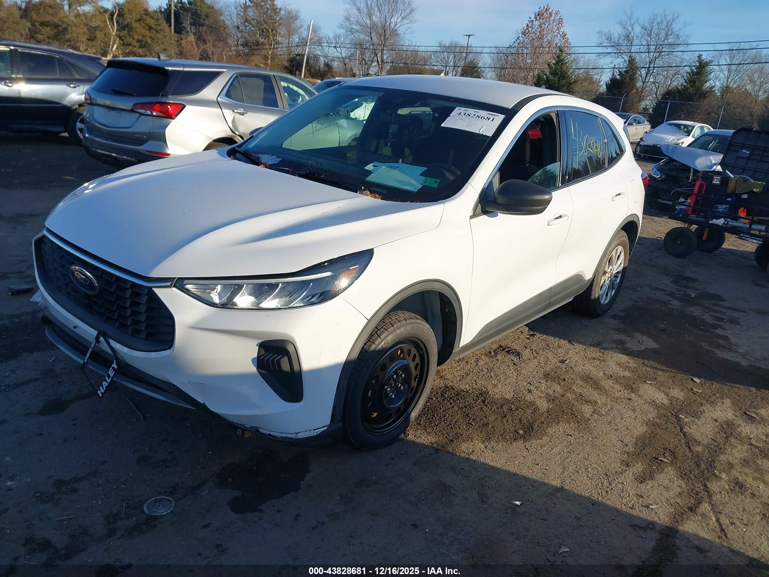FORD ESCAPE image 2