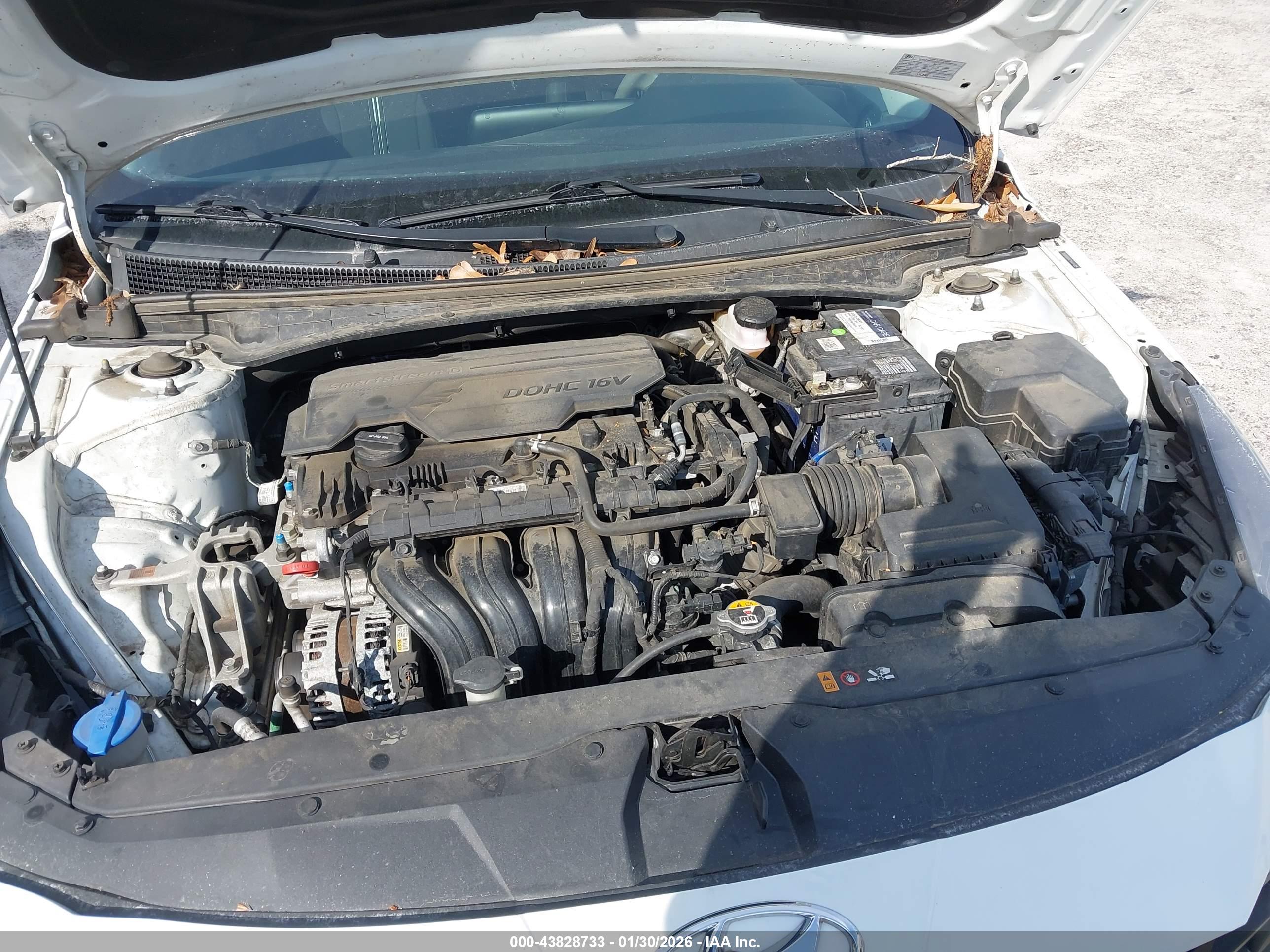 HYUNDAI ELANTRA image 10
