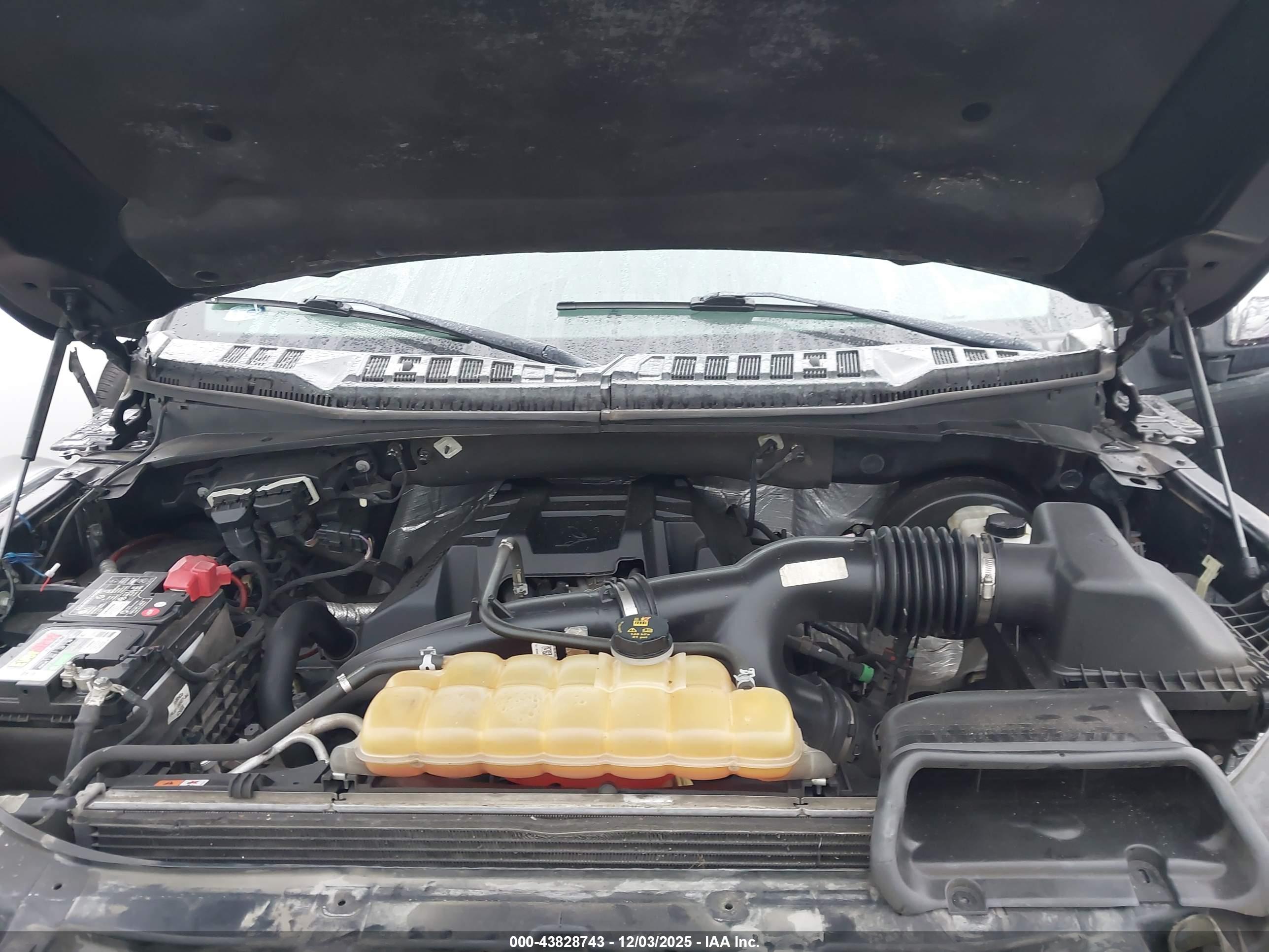 FORD F-150 image 10
